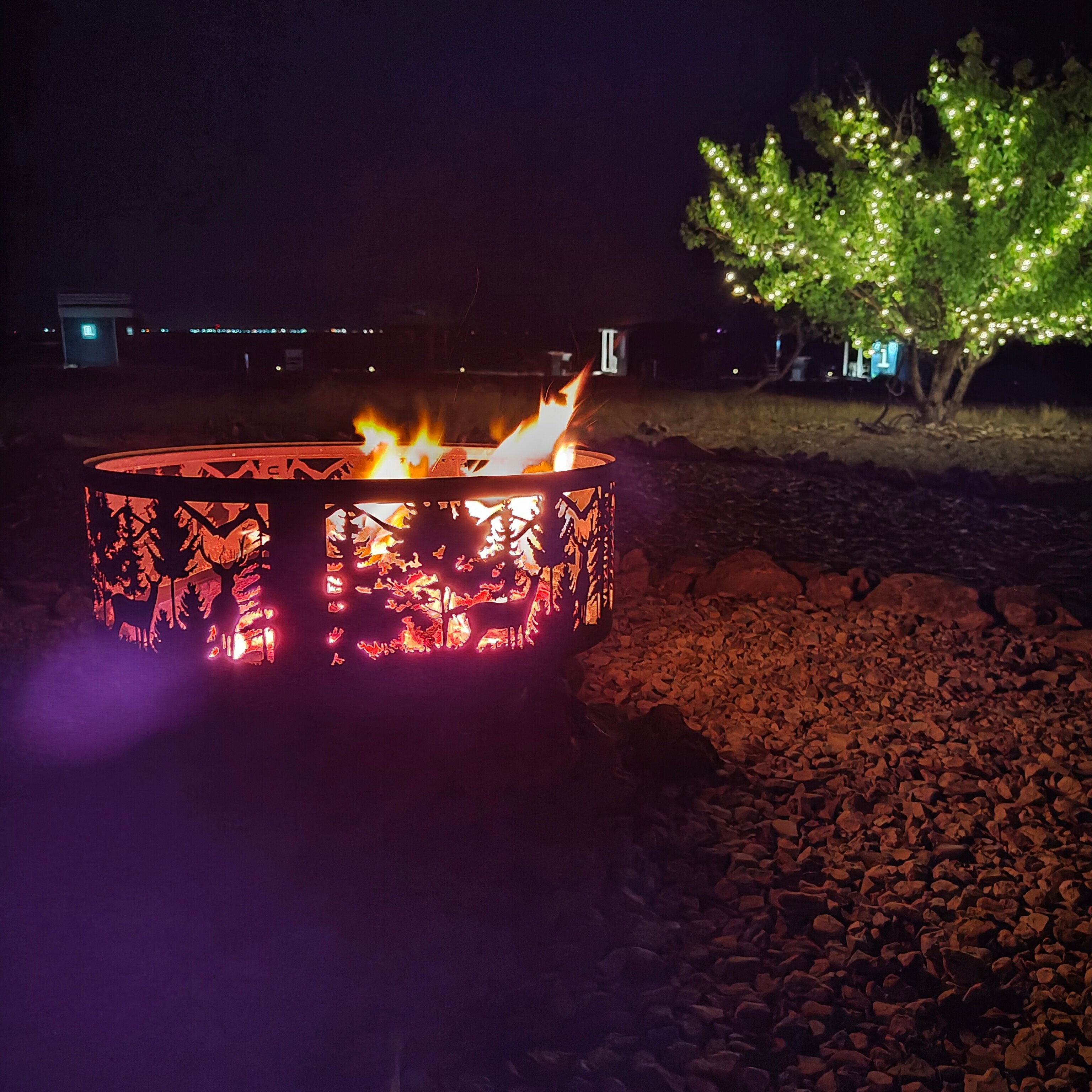 Фото Полынь