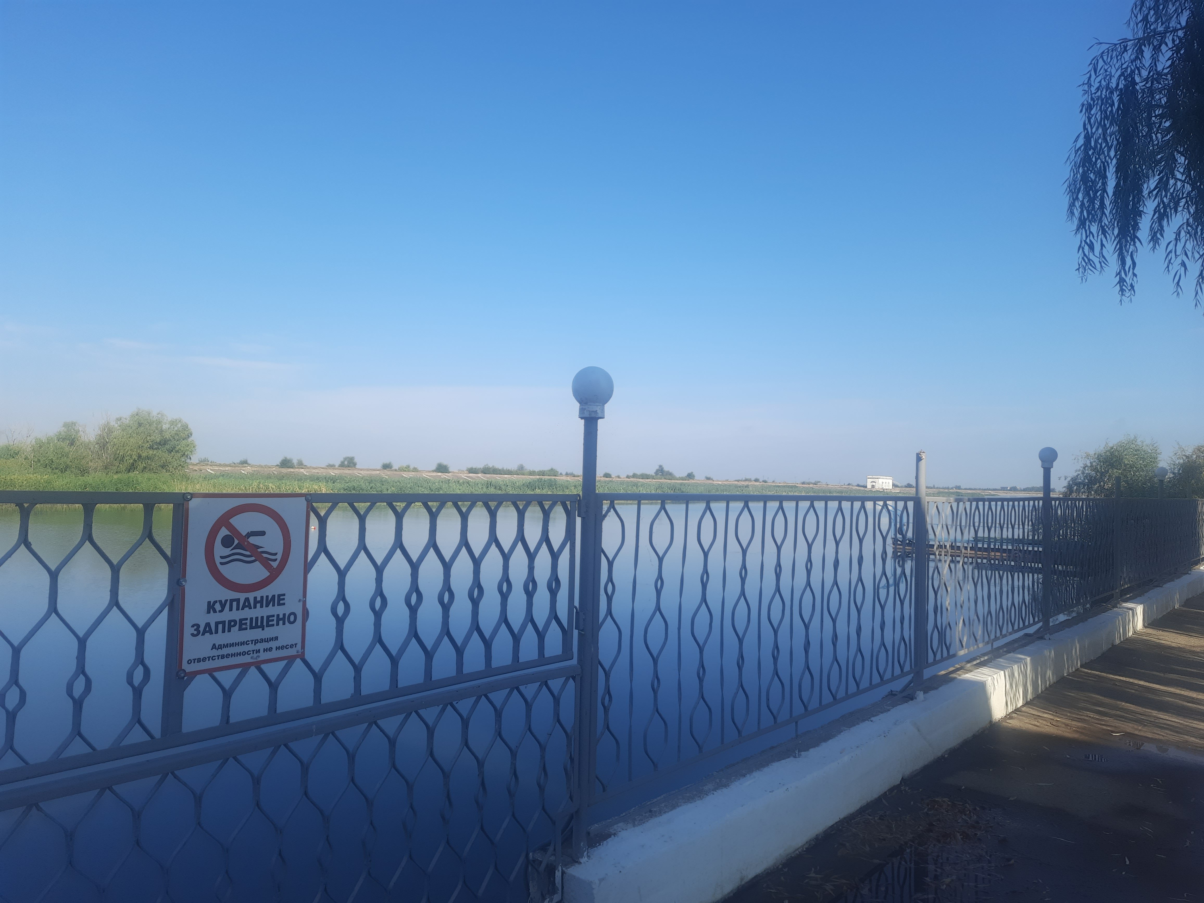 Фото Терраса