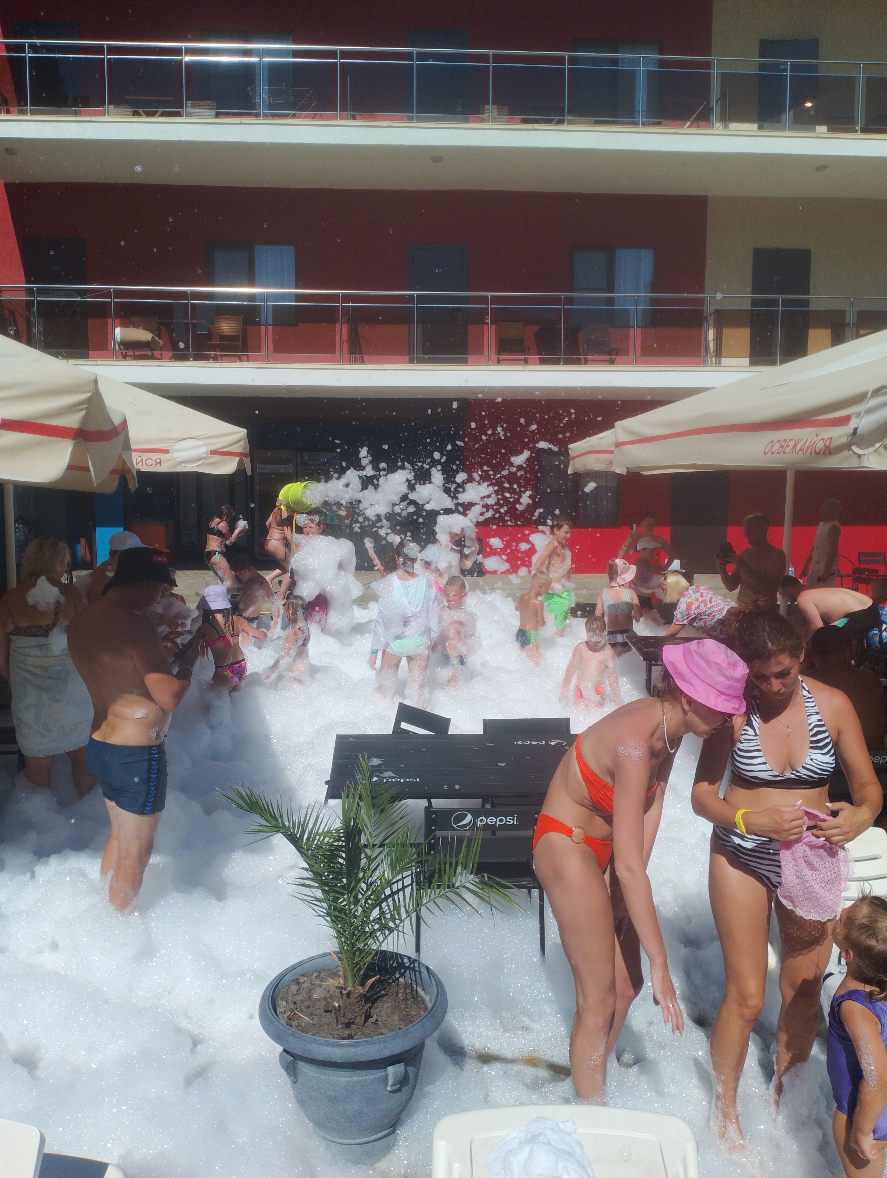 Фото Анести