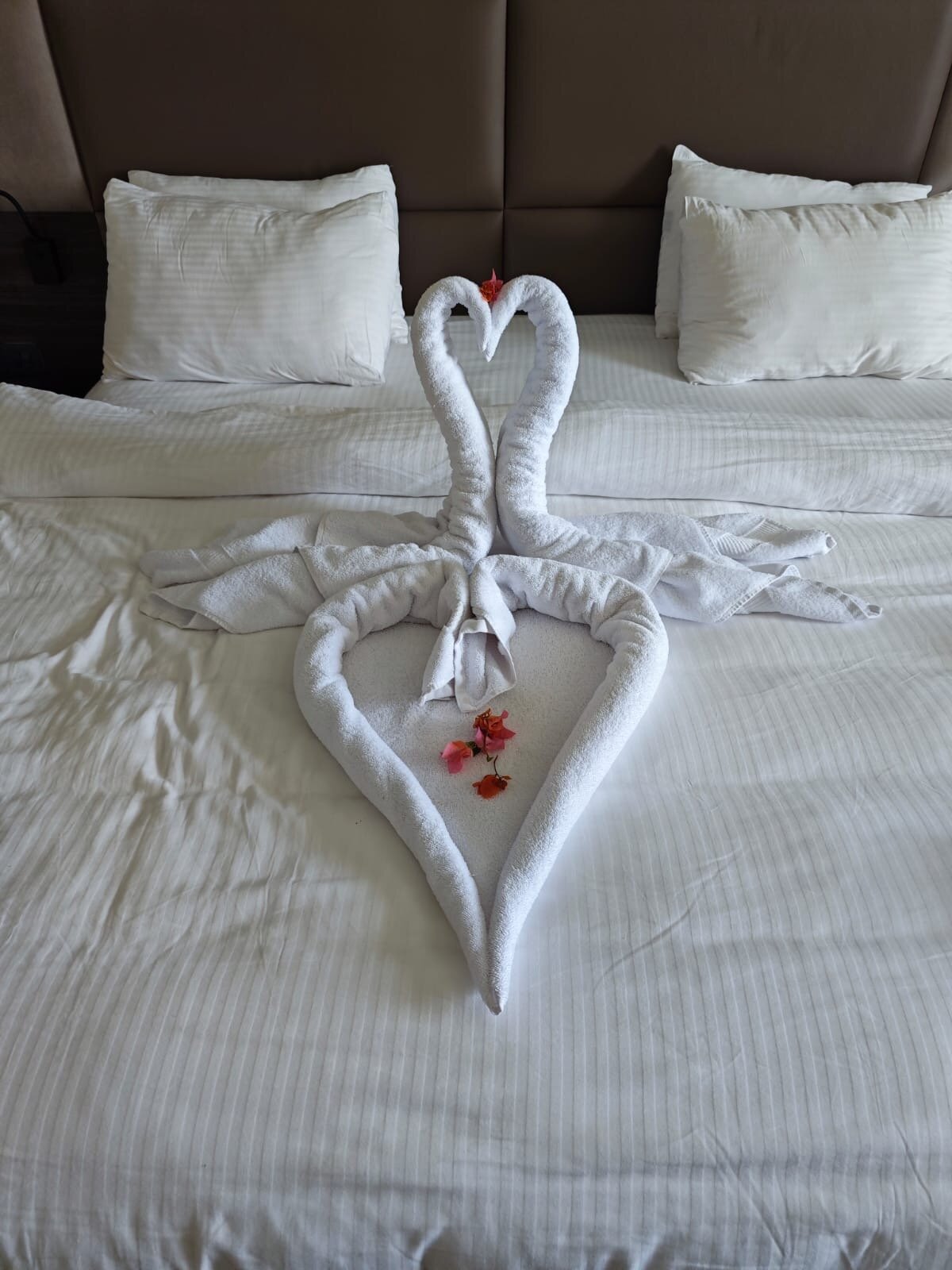 Фото Pickalbatros Luxury Suites