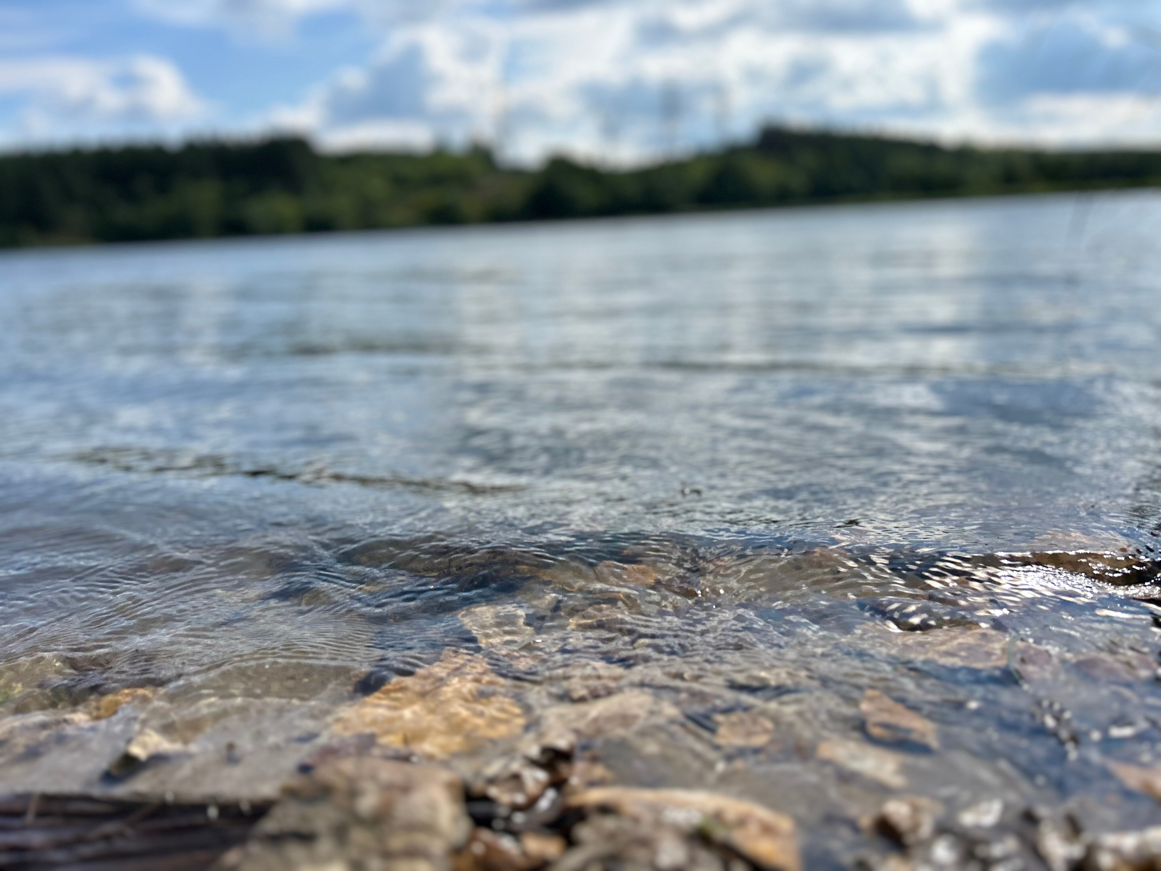 Фото Сосенки Lounge