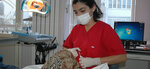 Armadent Dental Clinic (İstanbul, Beyoğlu, Bahriye Cad., 16), clínica dental