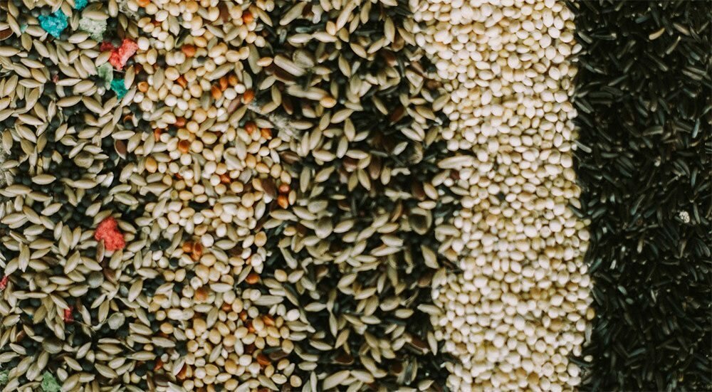 Fodder and feed additives White Mill, Suleymanpasa, photo