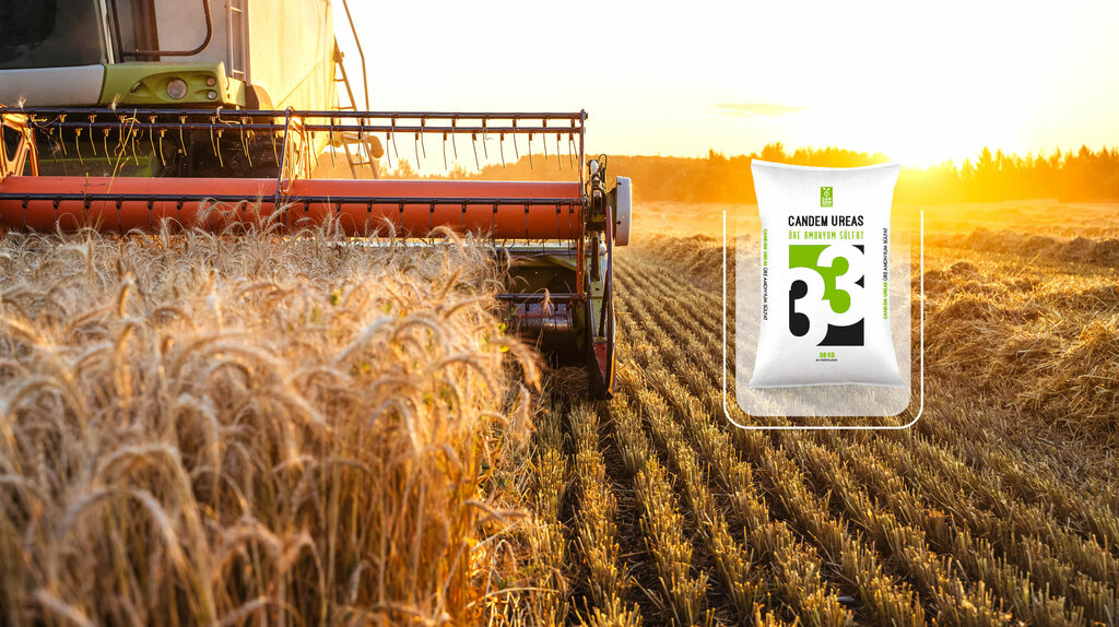 Grocery Candem Tarim Market, Kumluca, photo