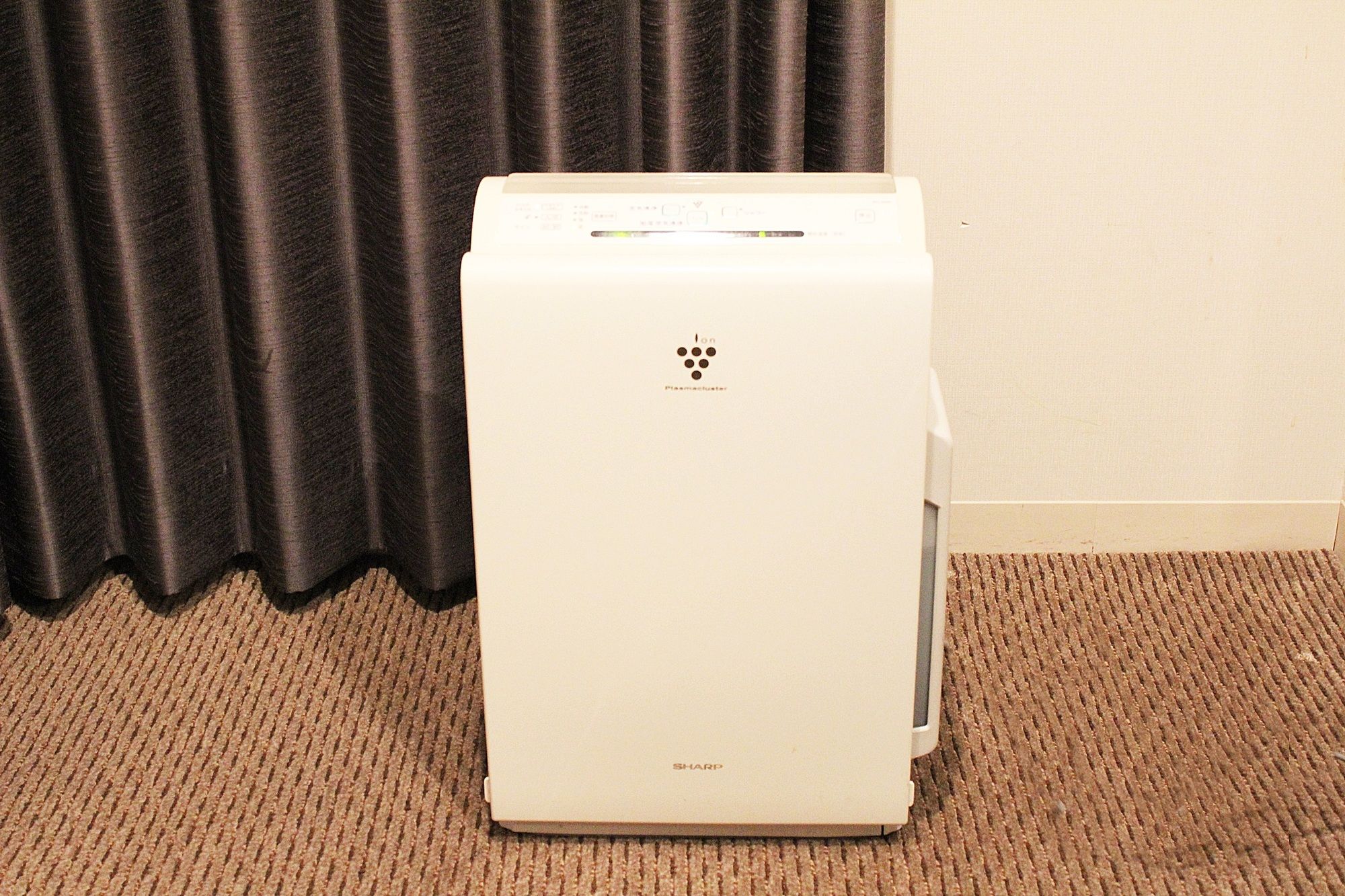 Фото Hotel Wbf Grande Hakodate