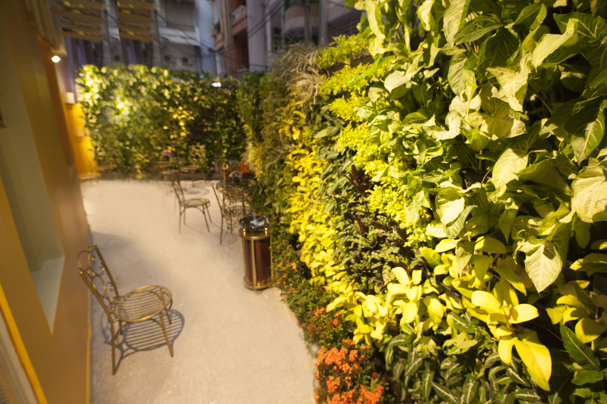 Фото Roseland Centa Hotel & SPA