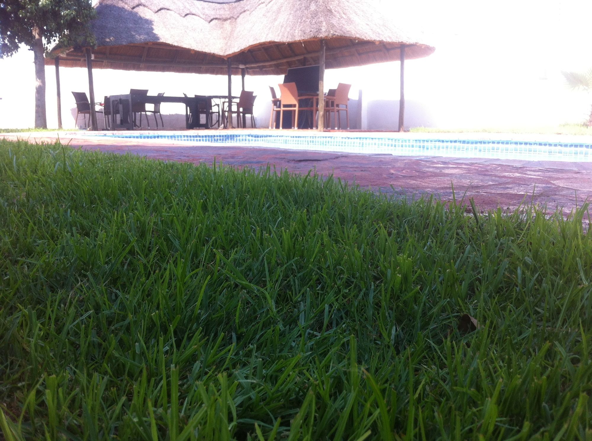 Фото Cosy Palms Guest House