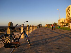 Гостиница Bayflowers Guest House