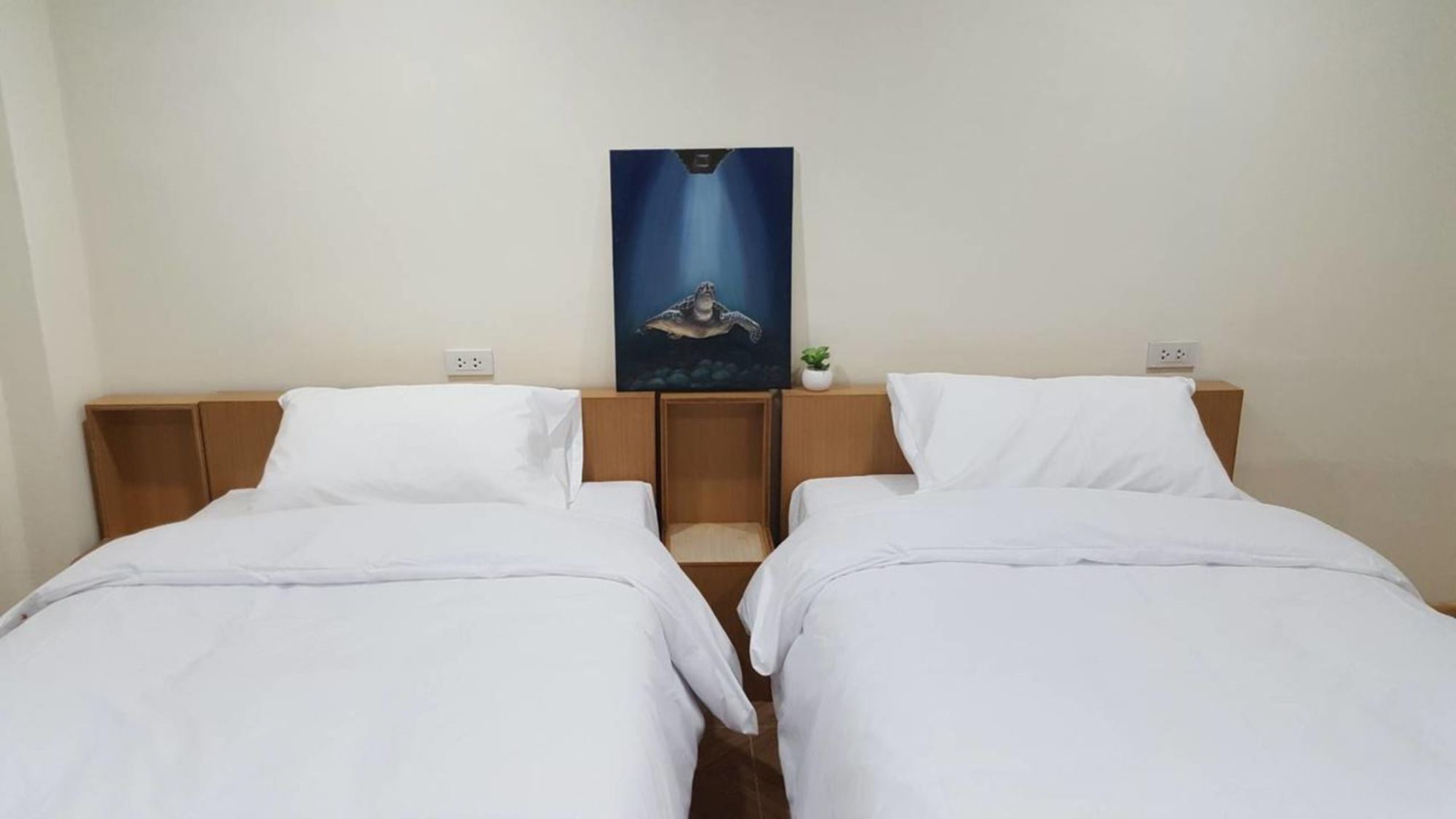 Фото Double D Rooms & Cafe