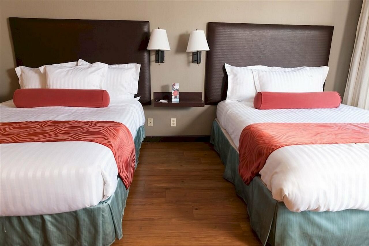 Фото The Dixie Hollywood