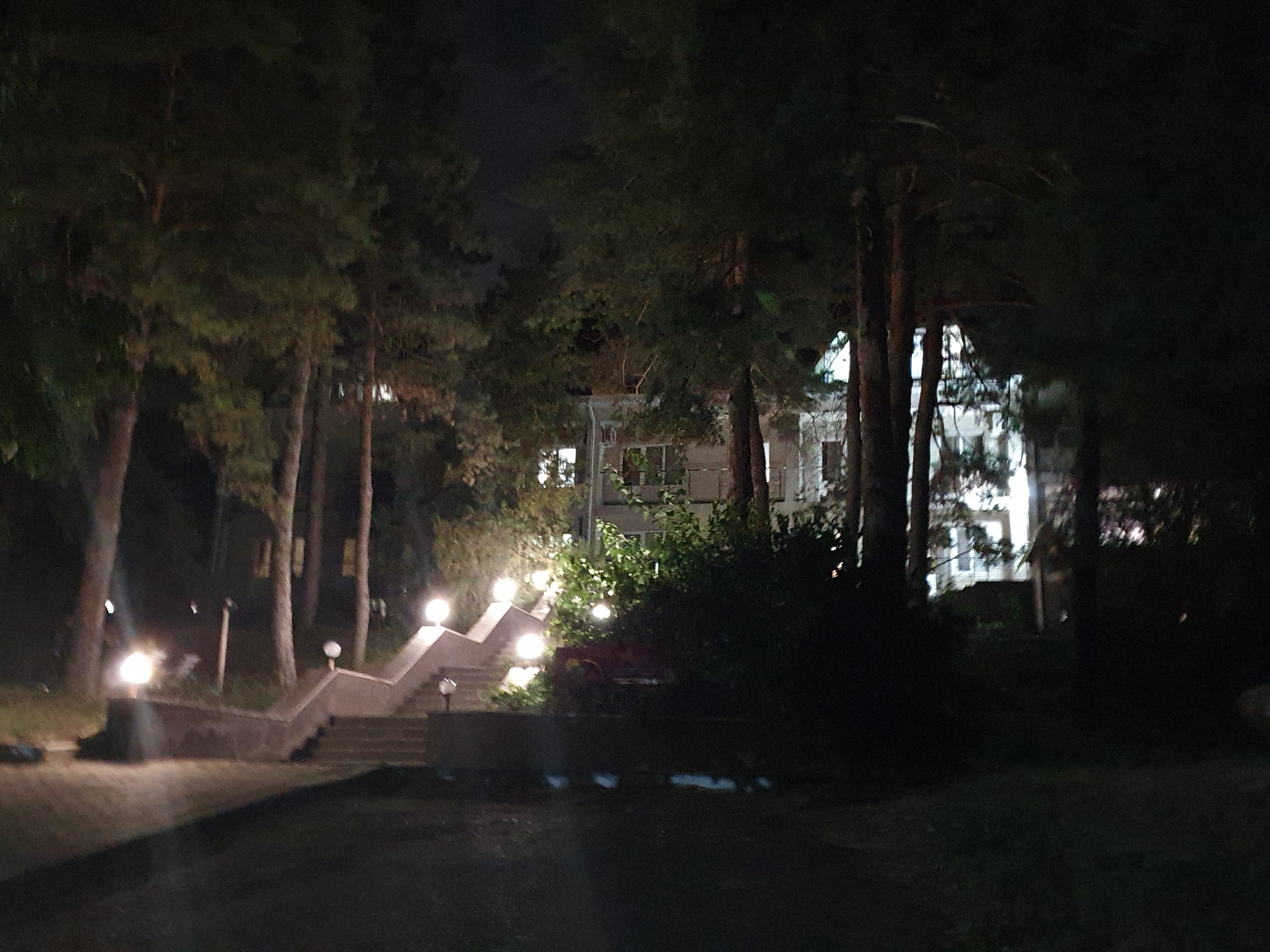 Фото Берёзка