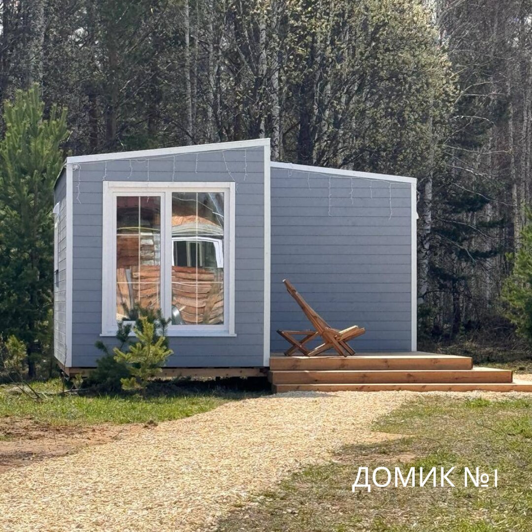 Фото Forest time