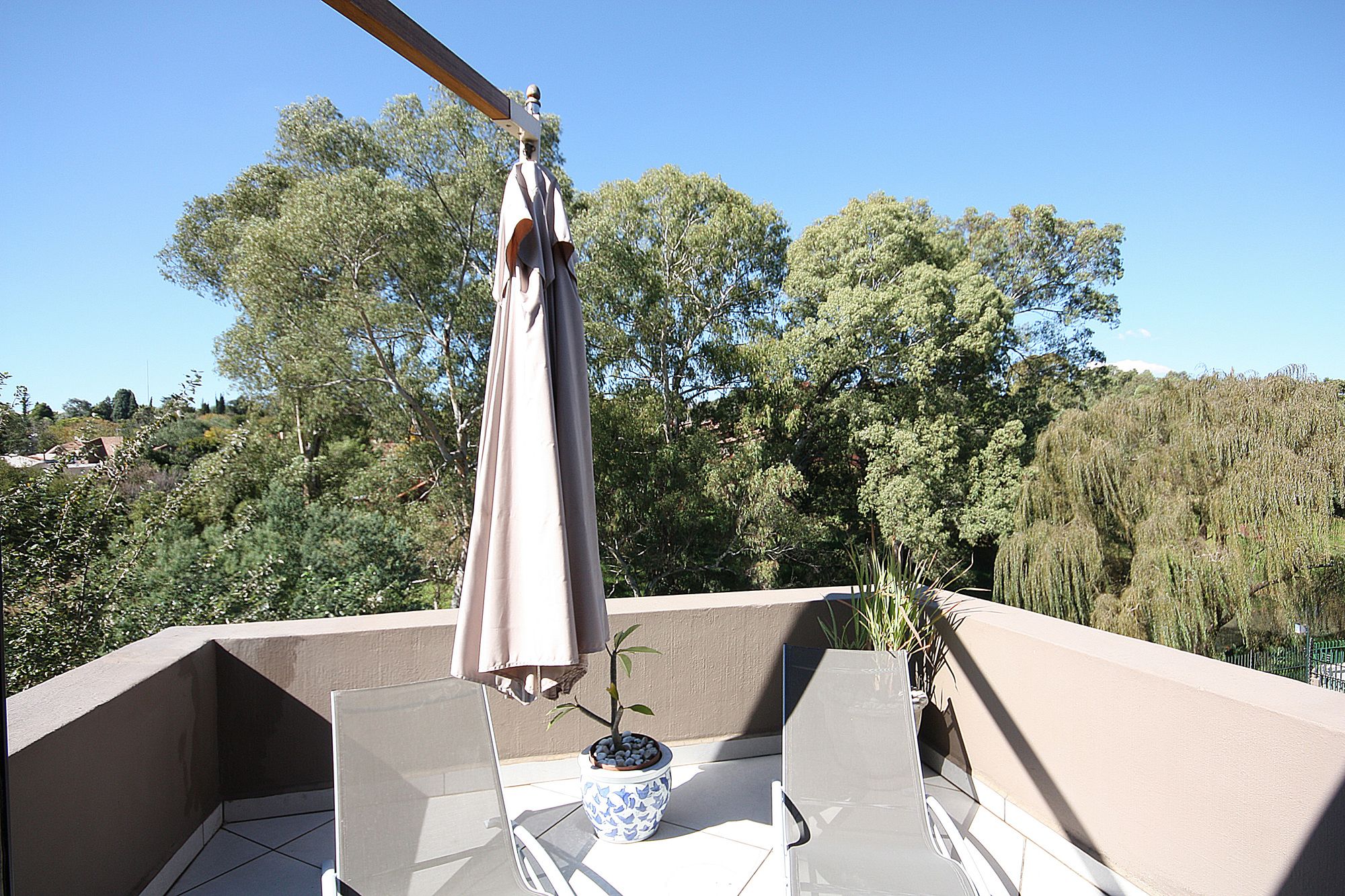 Фото Dynasty Forest Sandown Accommodation