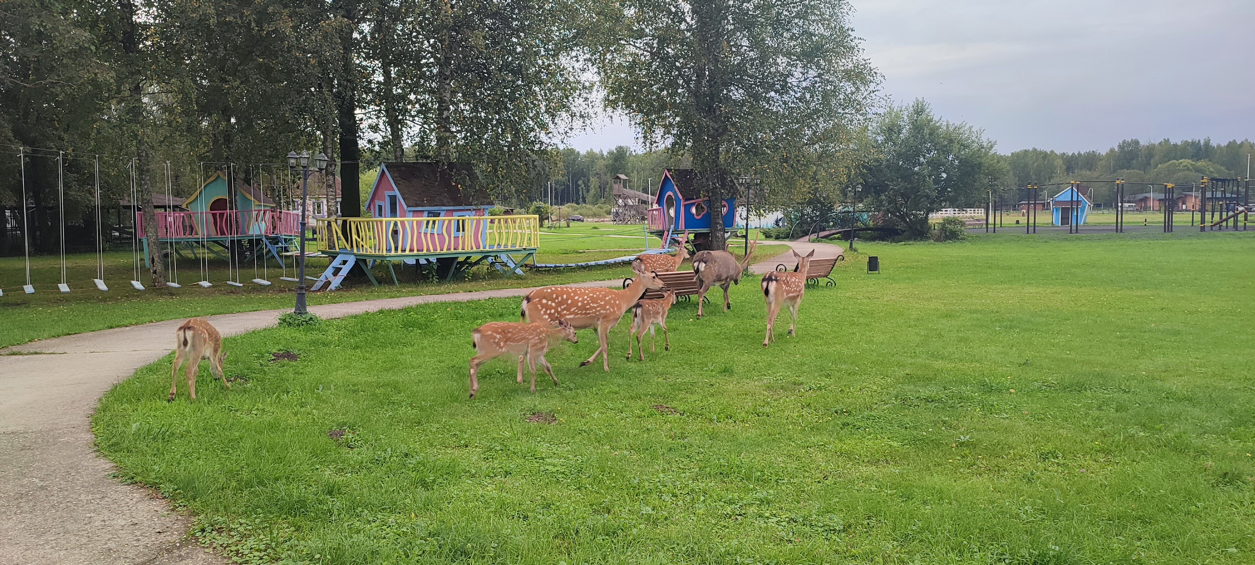 Фото отеля 3