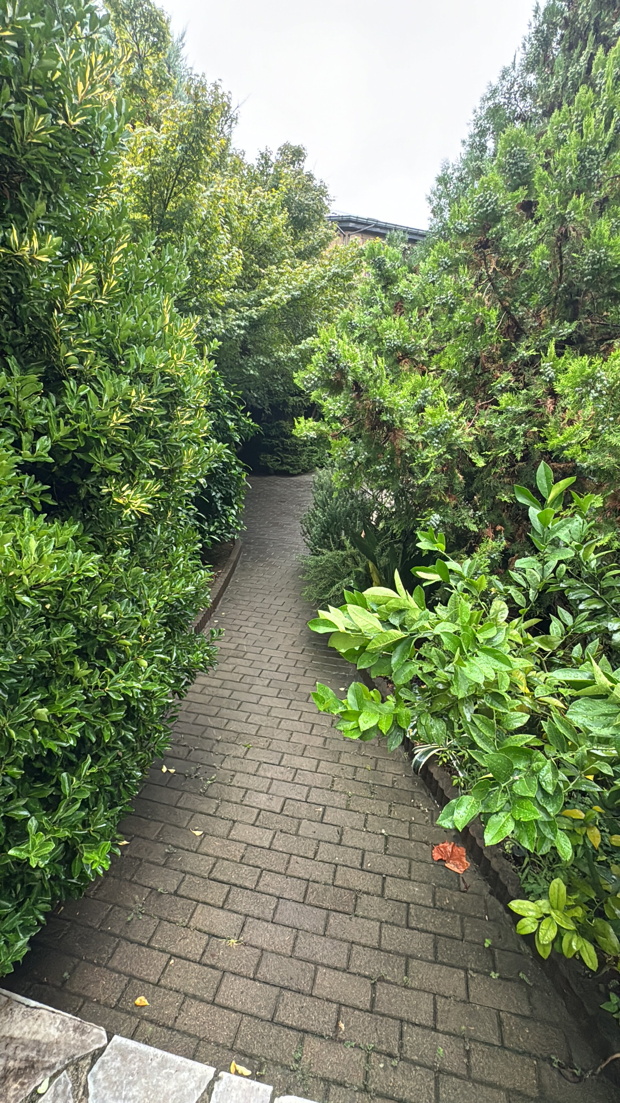 Фото Hotel Amigo I