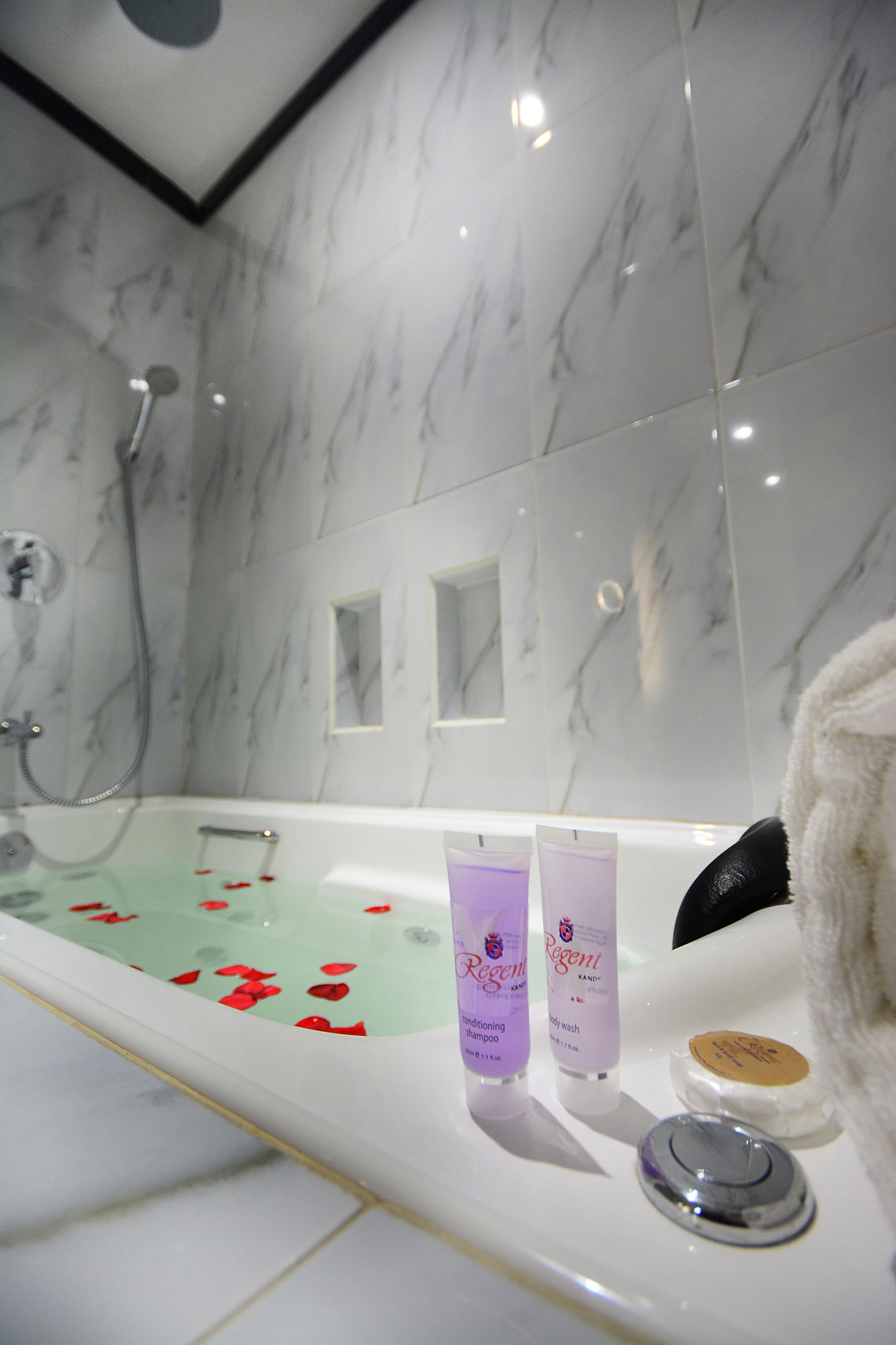 Фото Earl's Regent Kandy