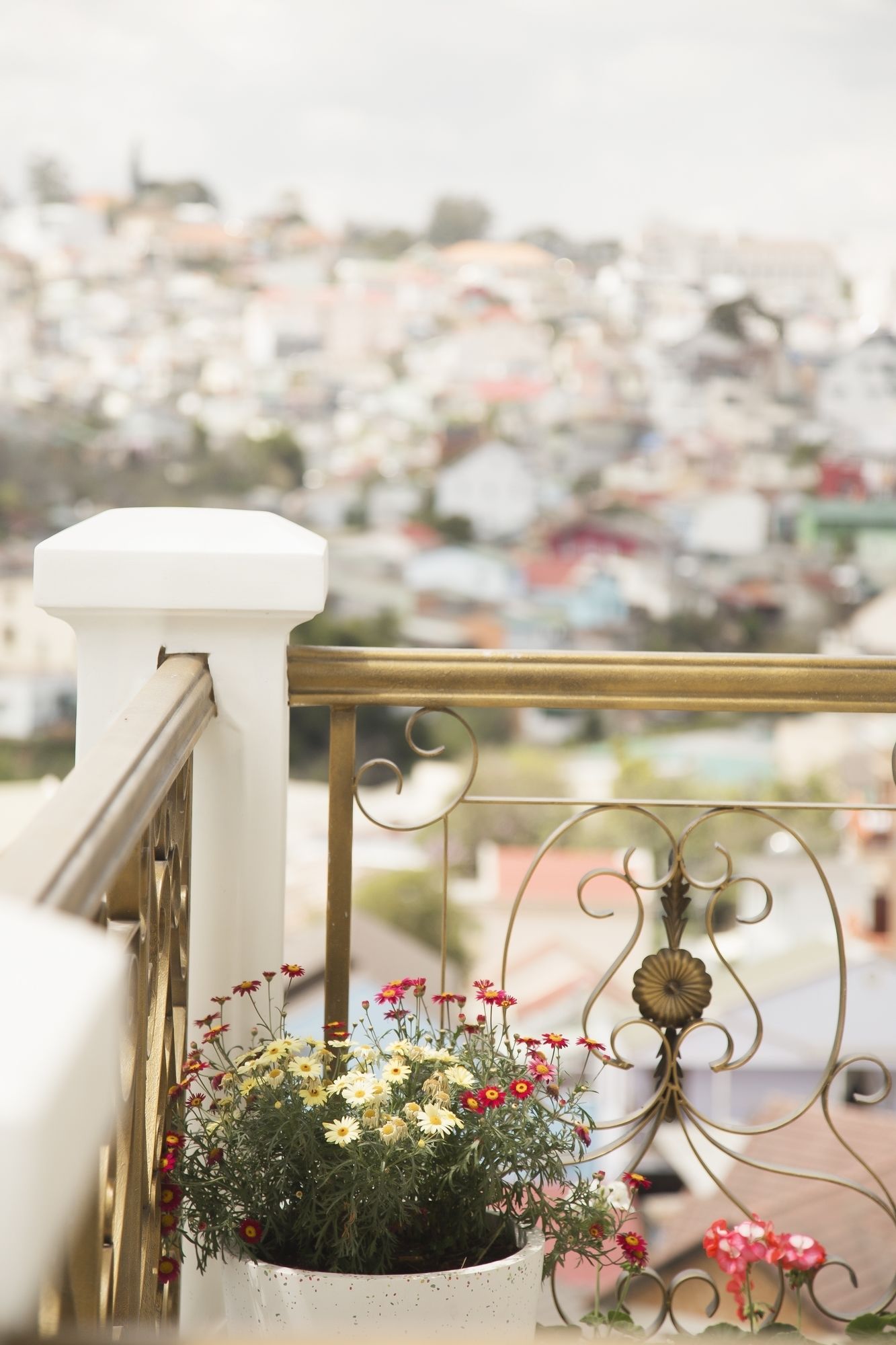 Фото Cozy Boutique Da Lat Hotel