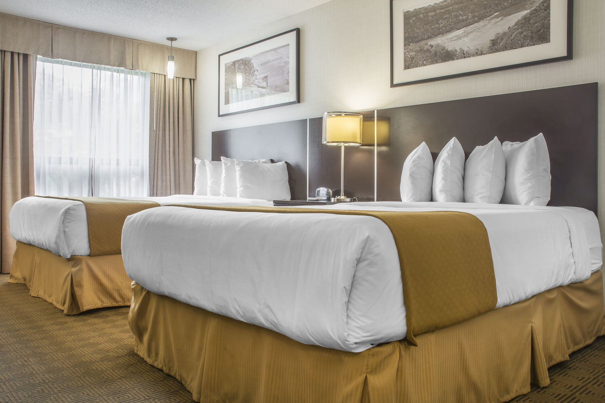 Фото Quality Hotel