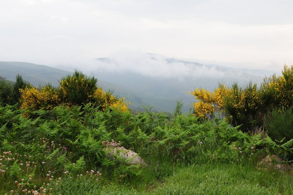 Фото Inatel Vila Ruiva Hotel