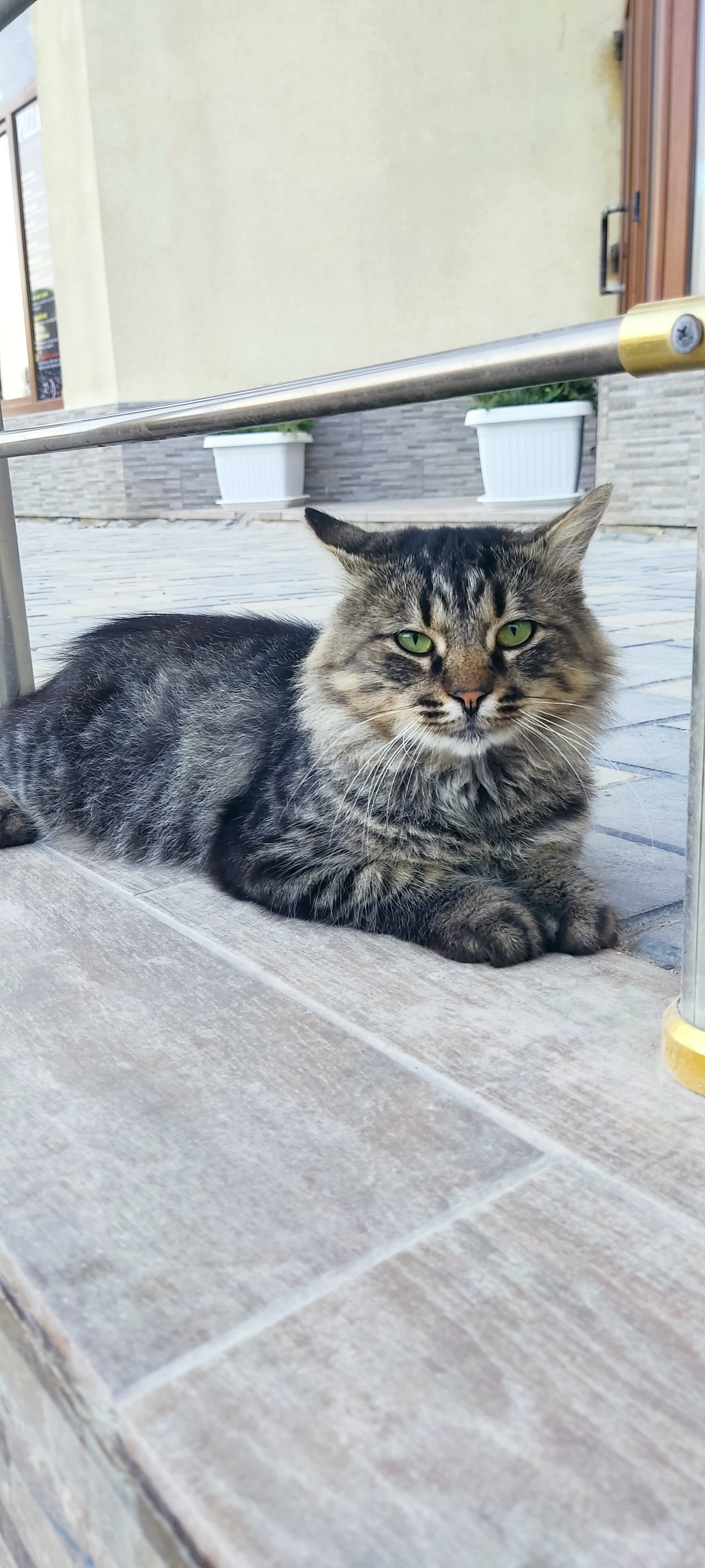 Фото Династия