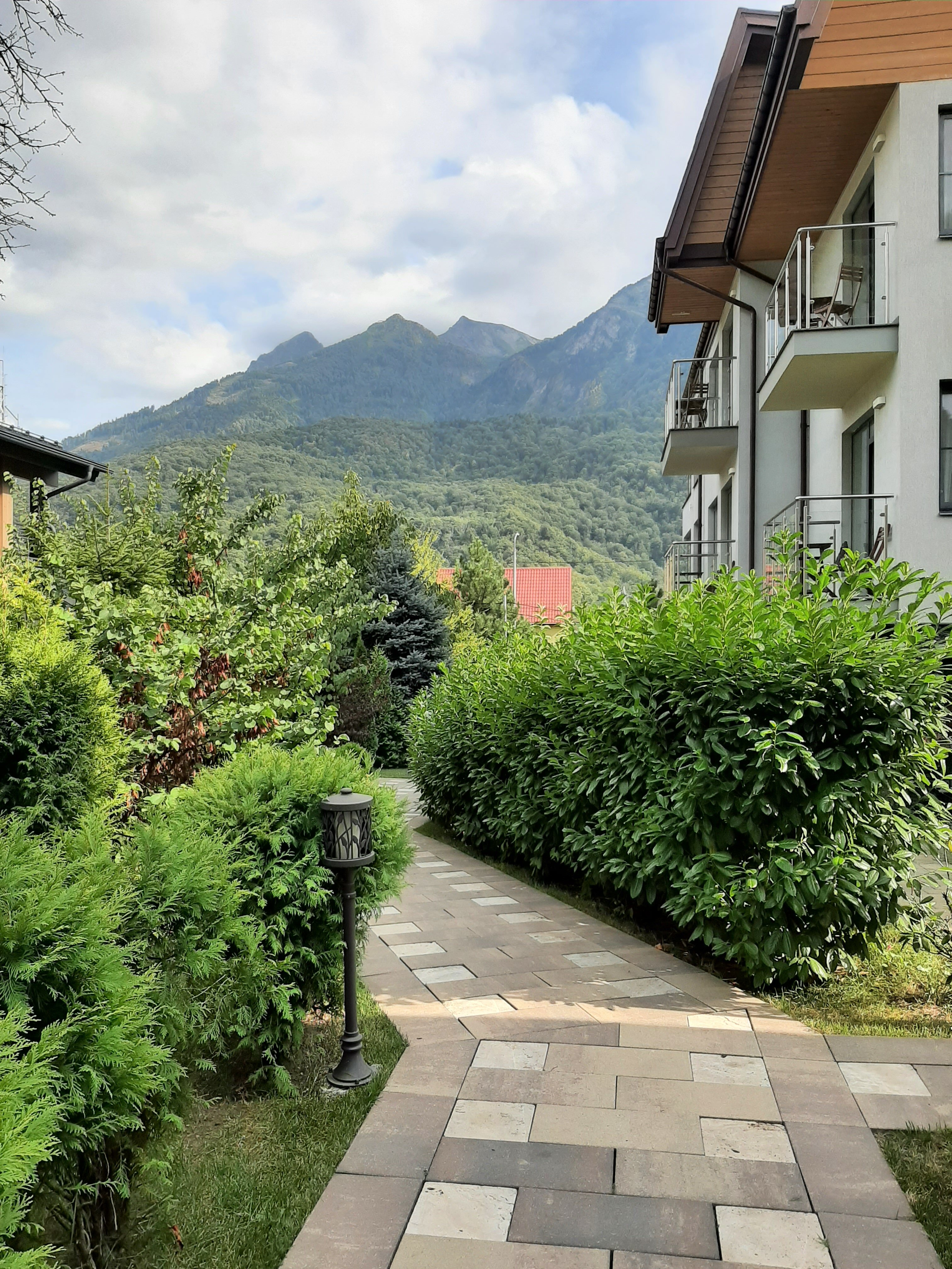 Фото Hills Polyana Hotel & SPA