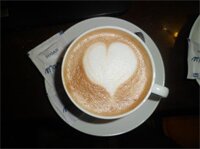 Фото Hotel Shelton