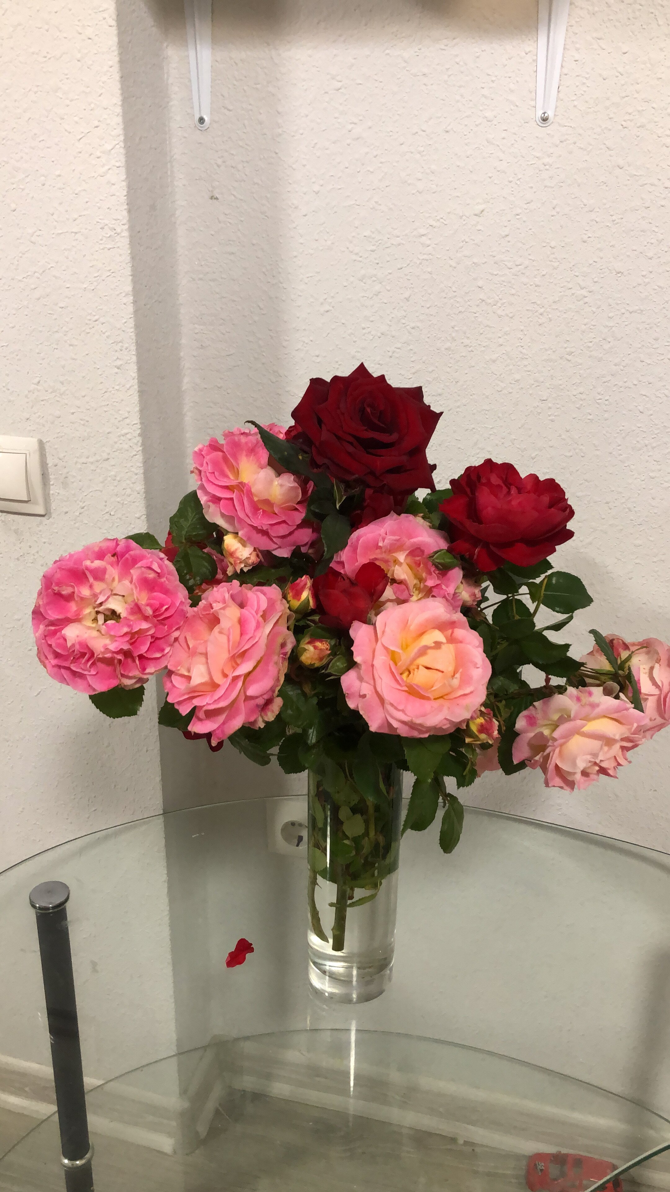 Фото Машенька