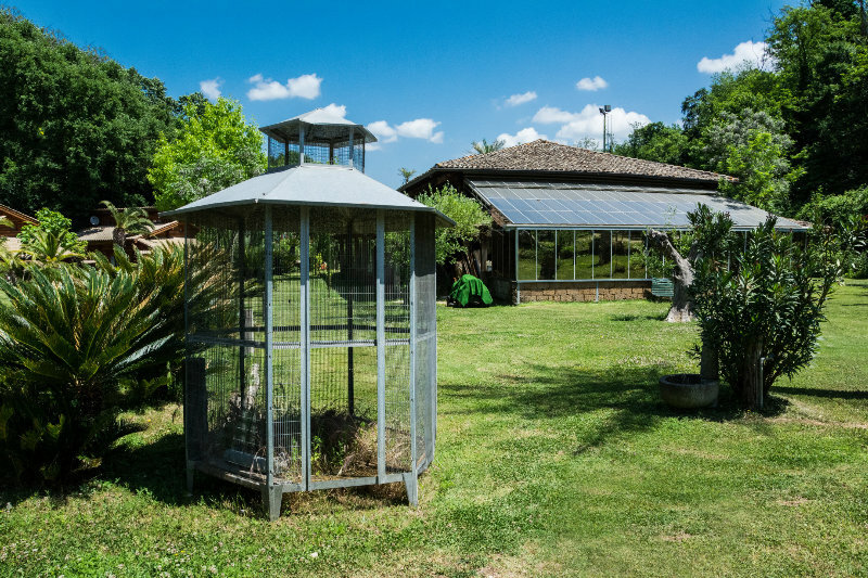 Фото Veio Residence Resort