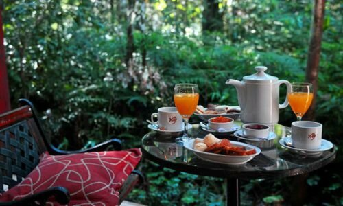 Гостиница Yvy Hotel de Selva