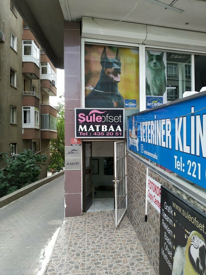 Printing house Shule Offset Printing Press, Ankara, photo