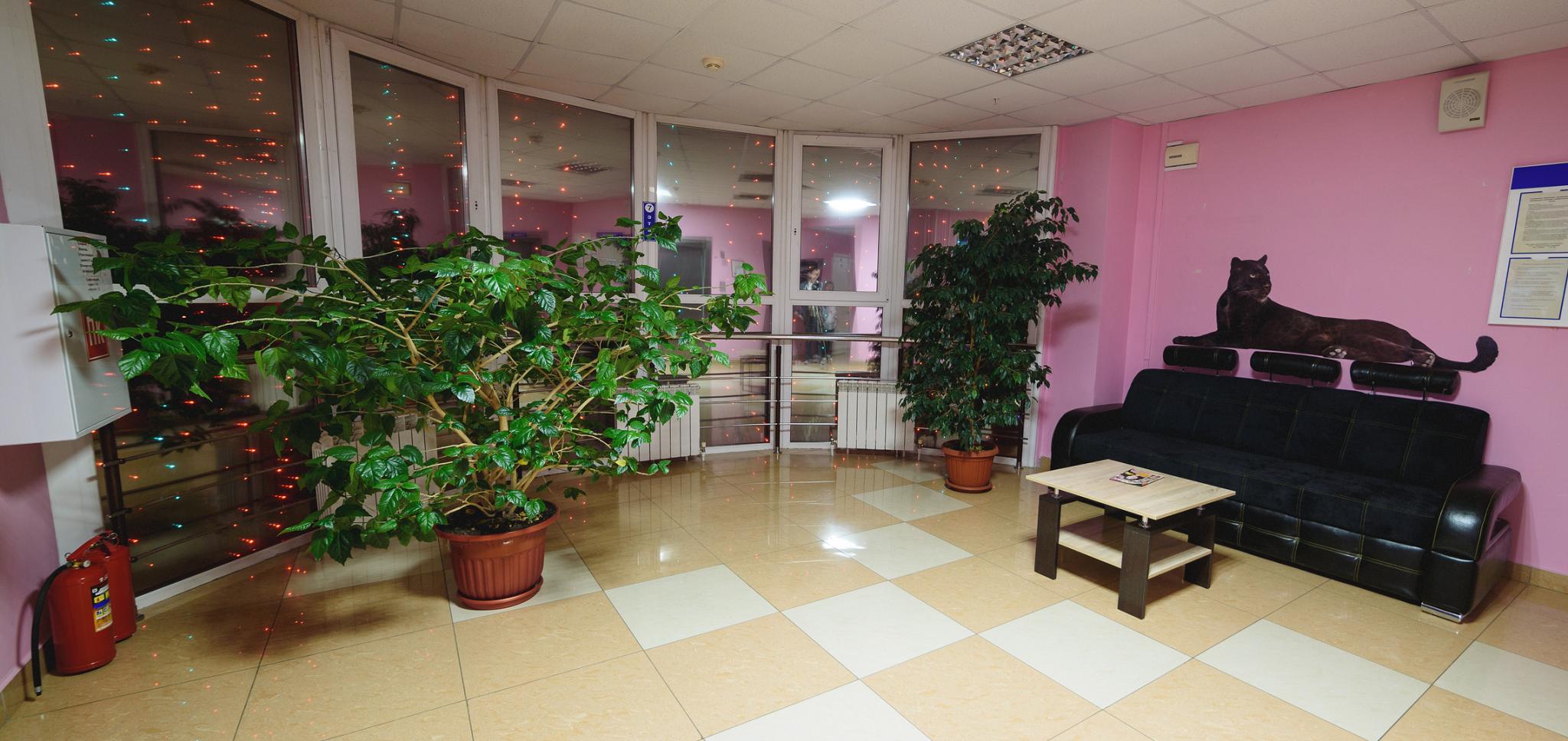 Фото Пантера