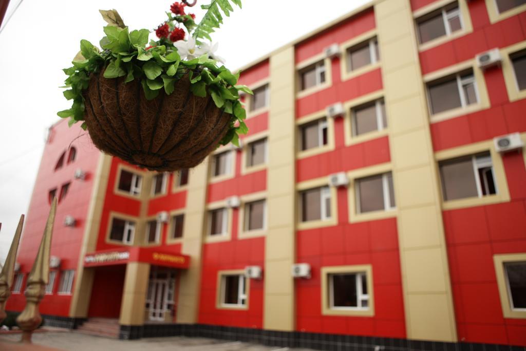 Фото Фламинго