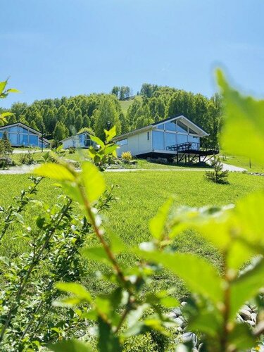 Гостиница Шале Altai Palace в Алтайском крае