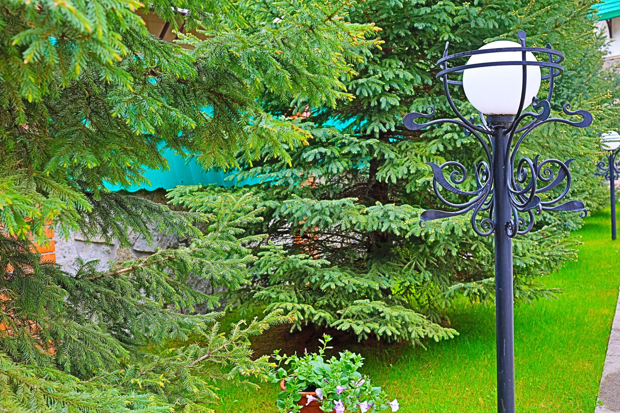 Фото Беркут