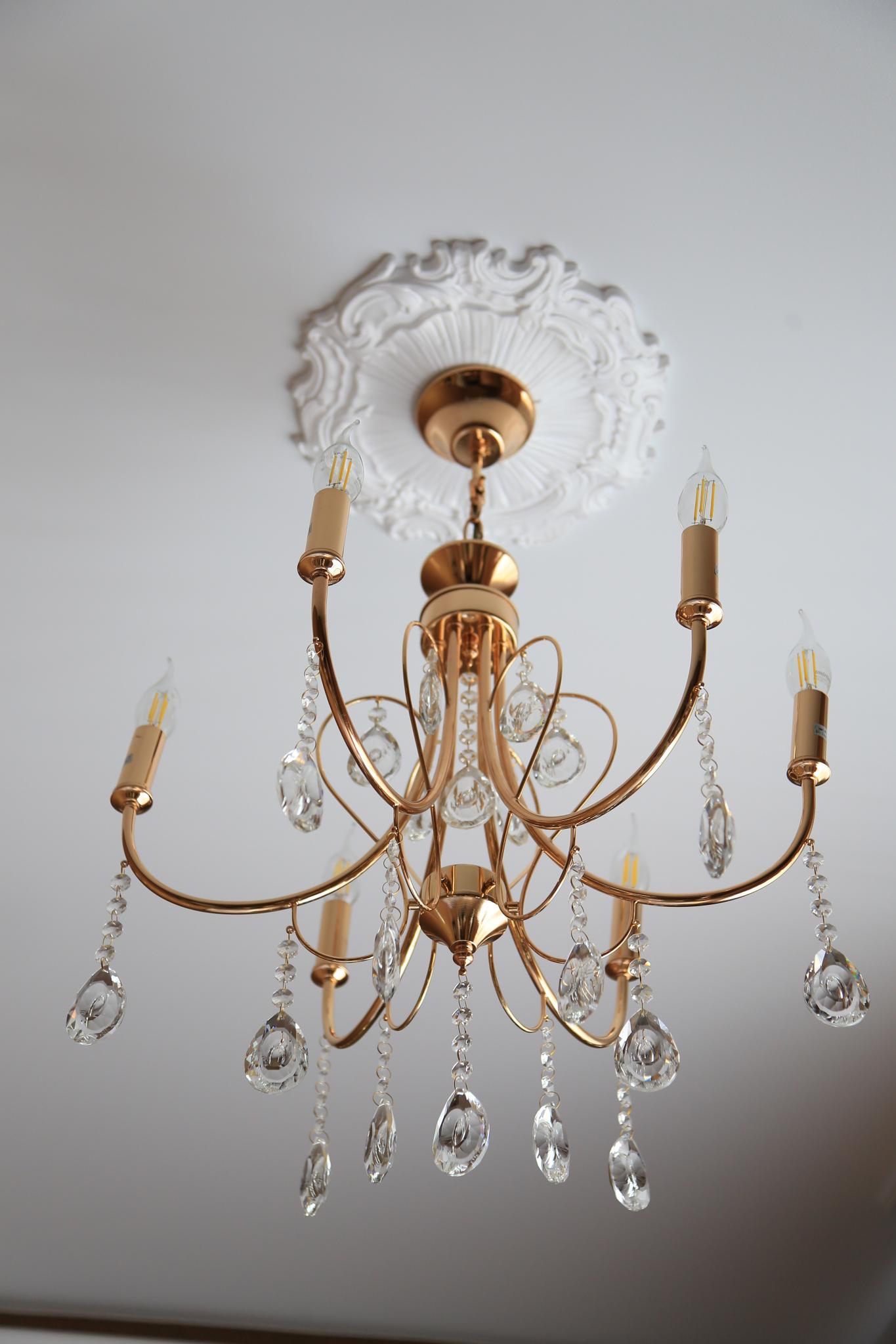 Фото Феликс