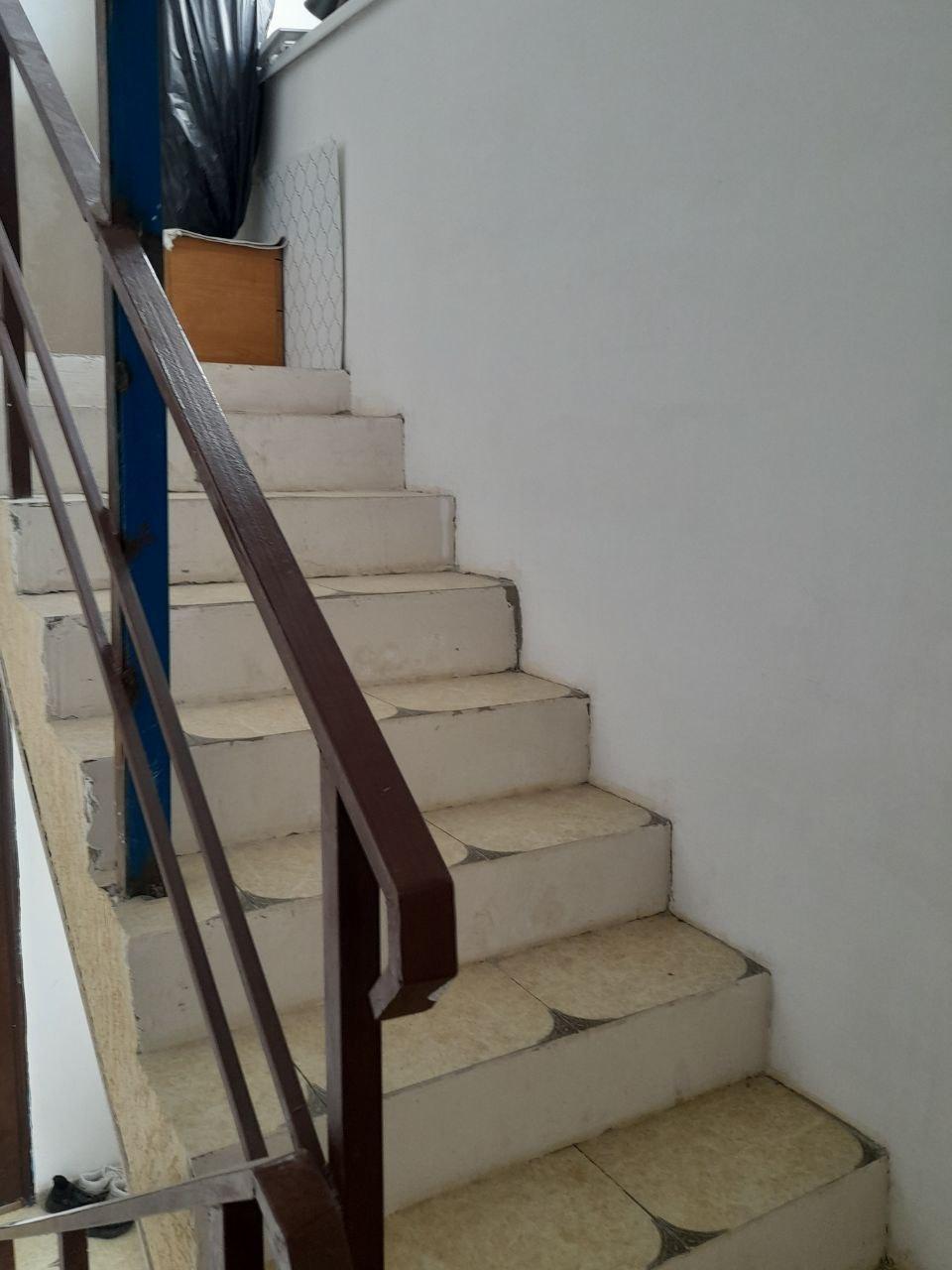 Фото Фиоленто