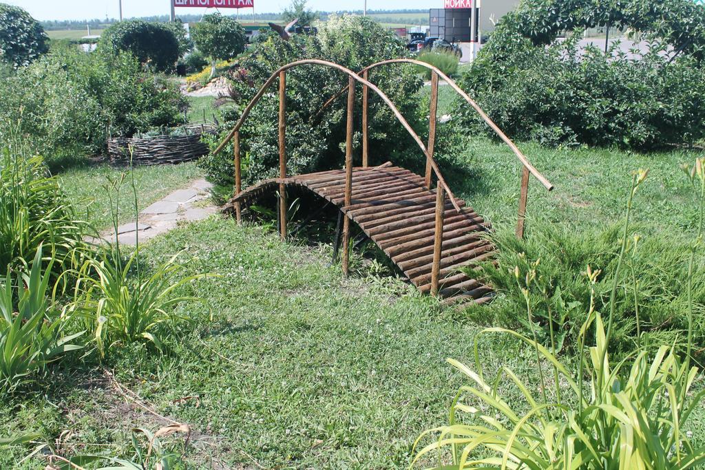 Фото Роза Ветров