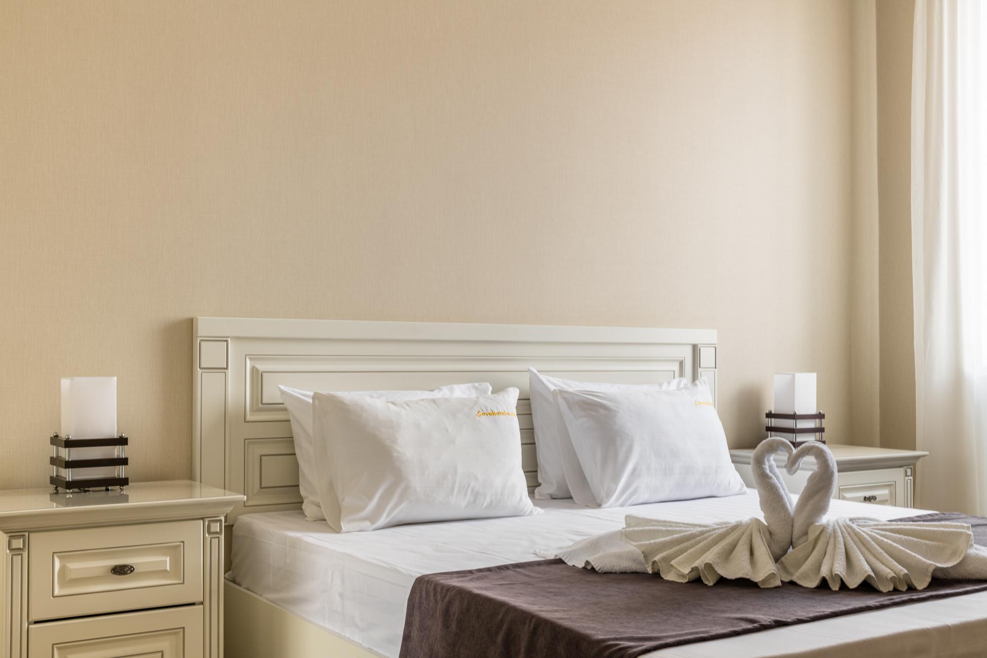 Фото Сова Беседы