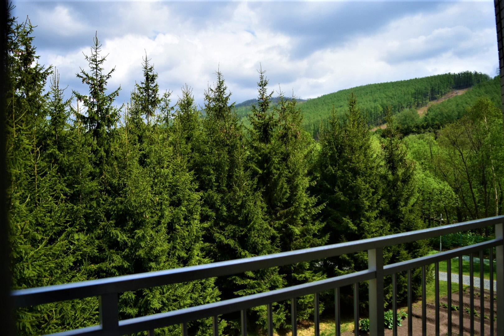 Фото Santa Resort Hotel