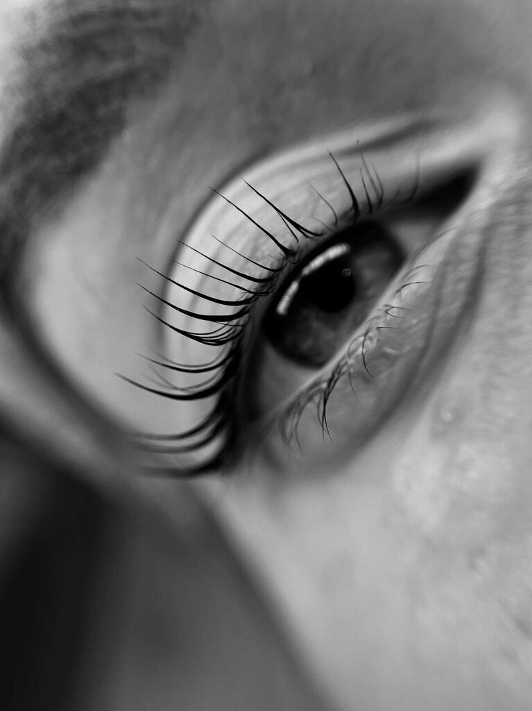 Eyebrow and eyelash salon Vikabrovii, Yaroslavl, photo