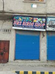 Hrz Birds Shop (Samanabad Town, Poonch Road, 23), pet shop