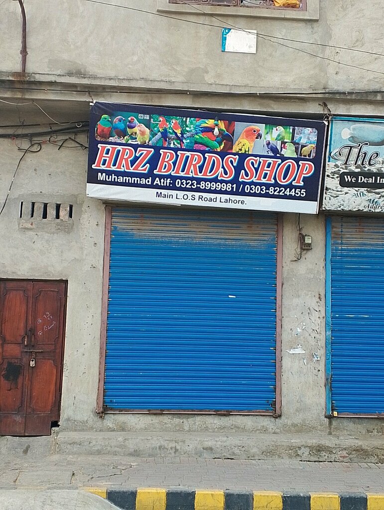 Pet shop Hrz Birds Shop, Lahore, photo