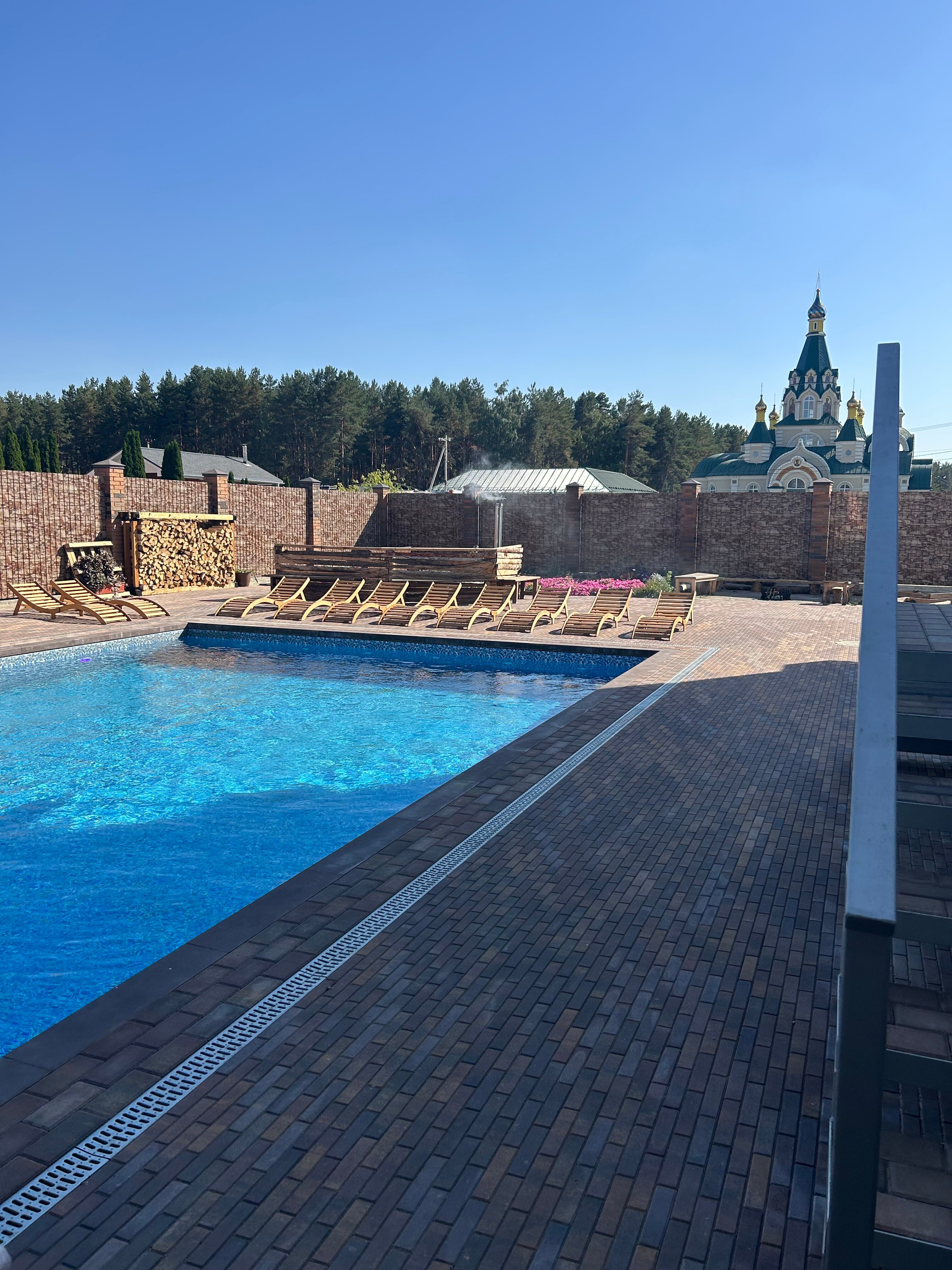 Фото Папоротник