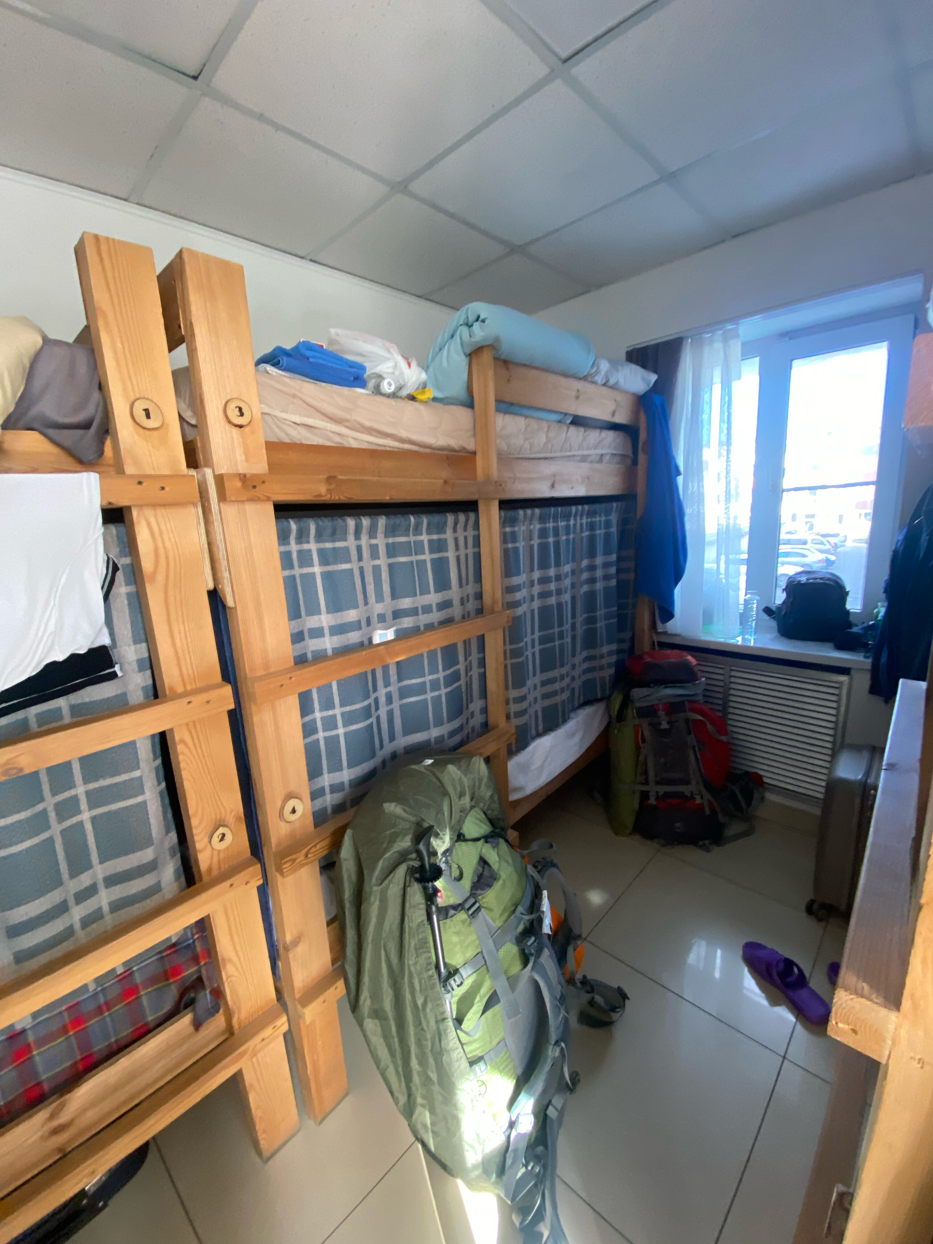 Фото Брусника