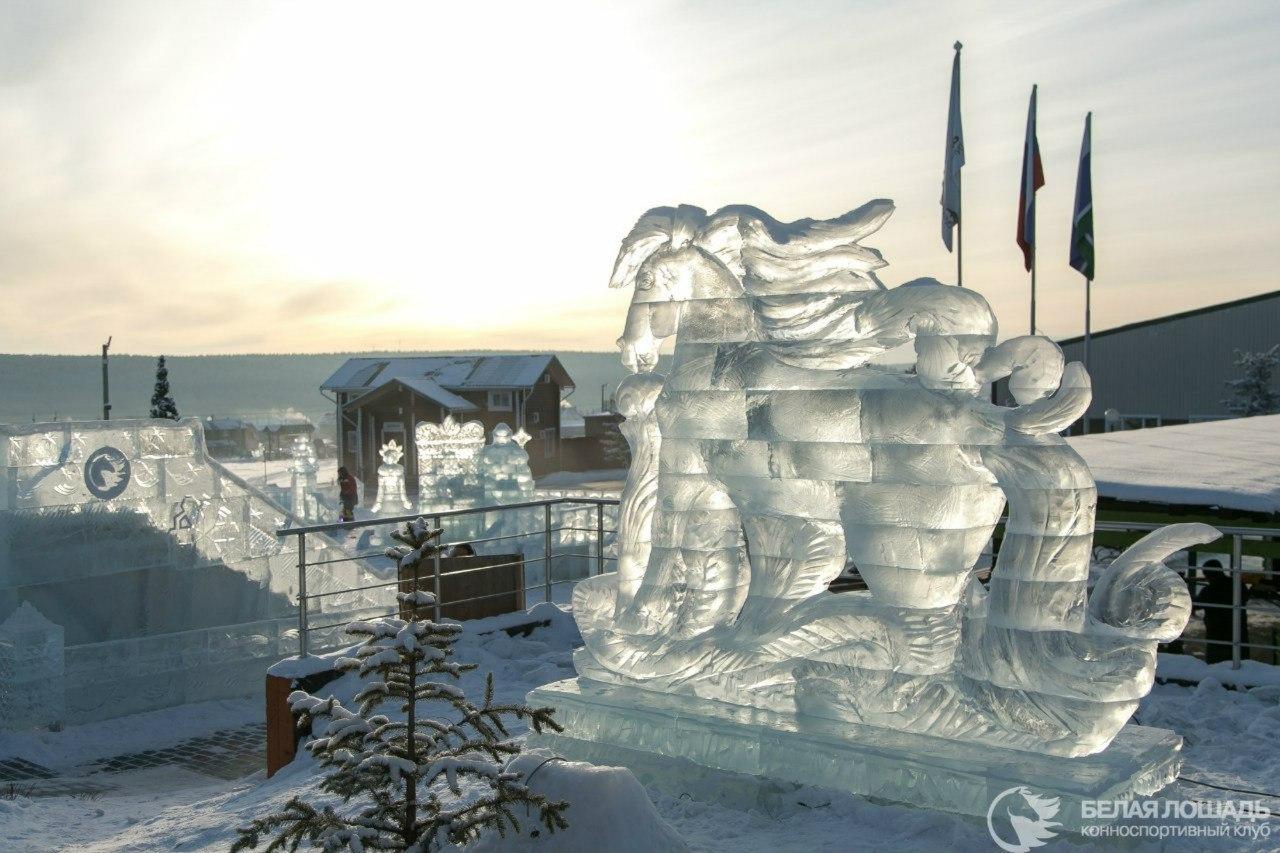 Фото Белая лошадь