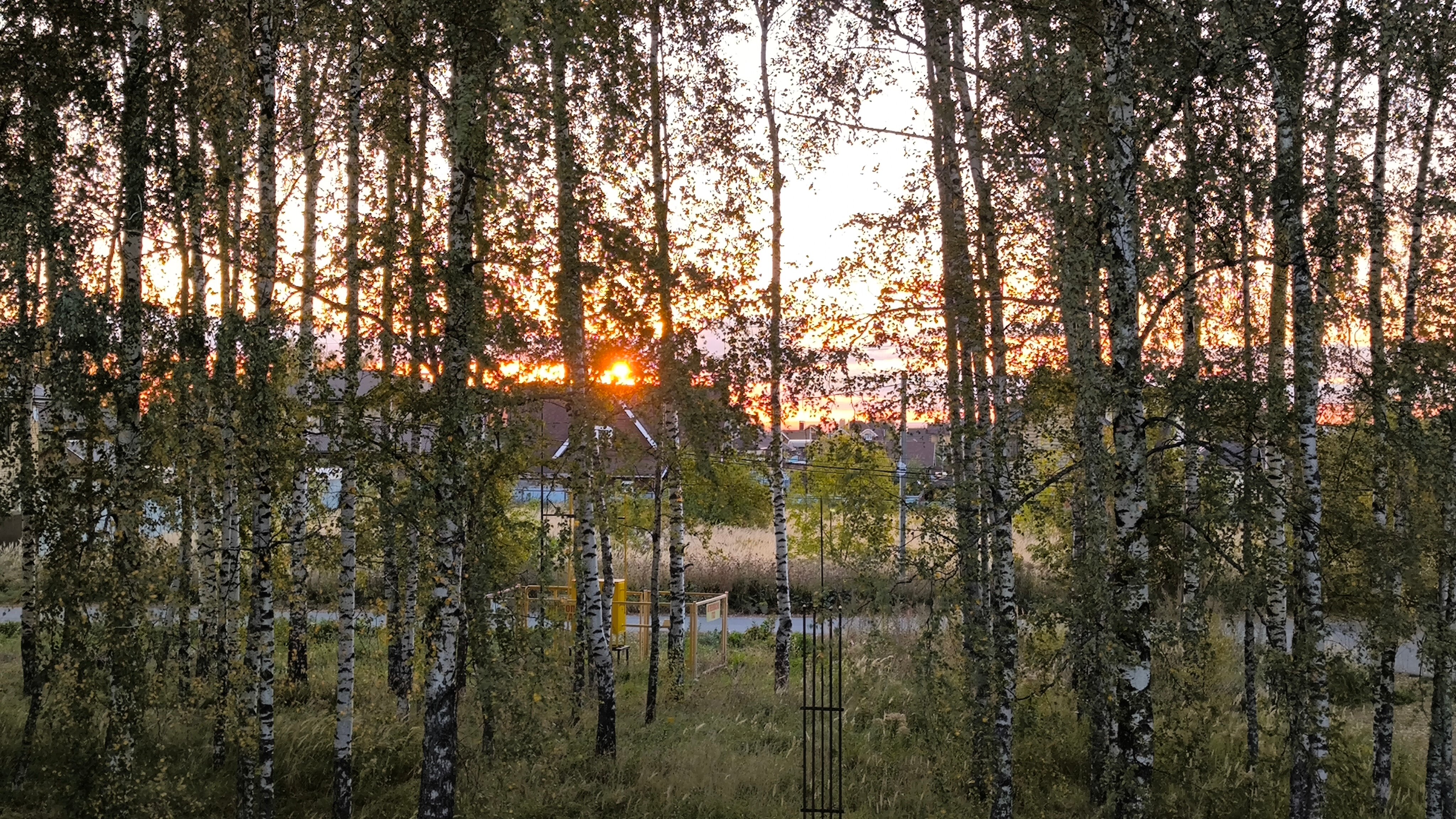 Фото Дядя Ваня