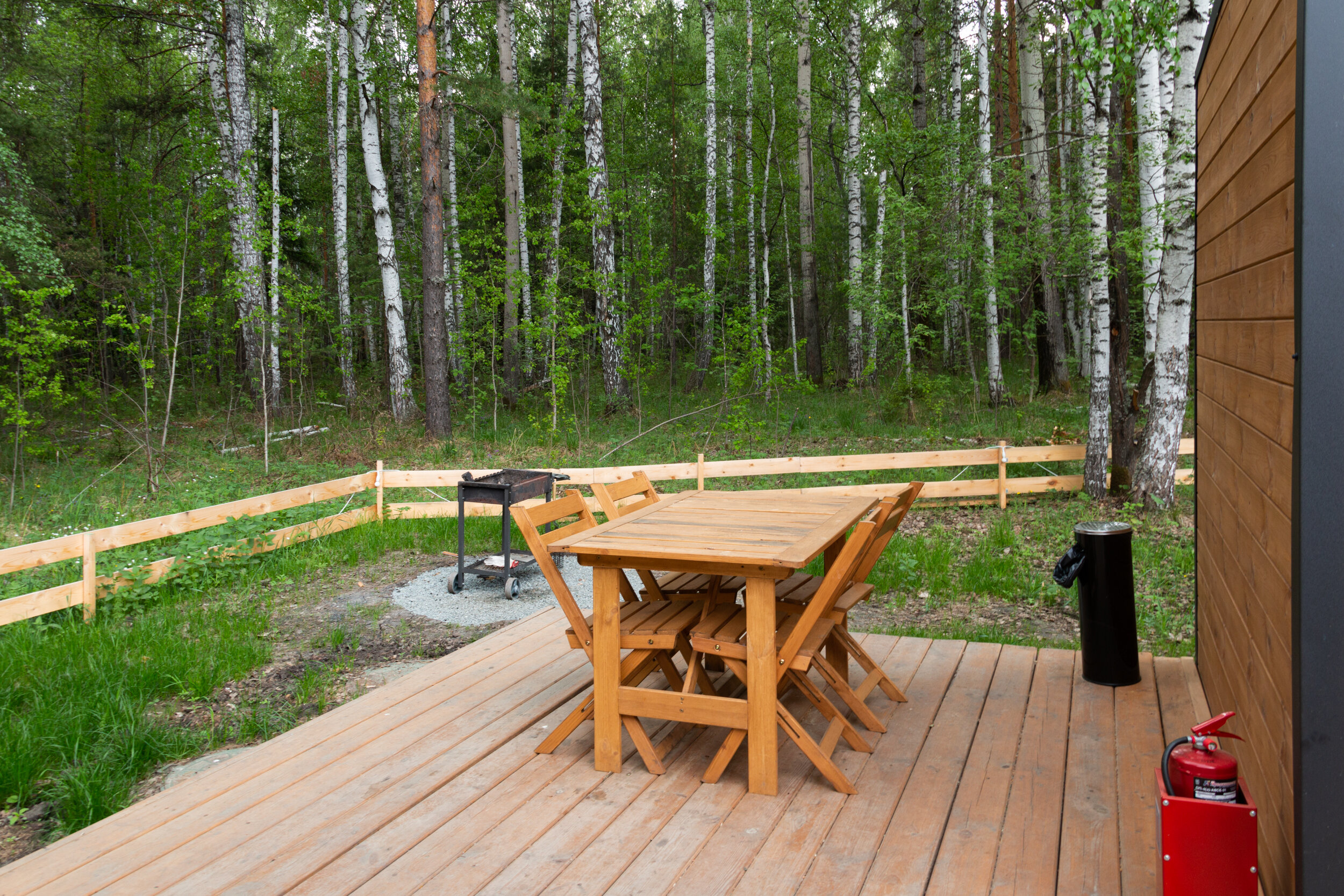 Фото На опушке