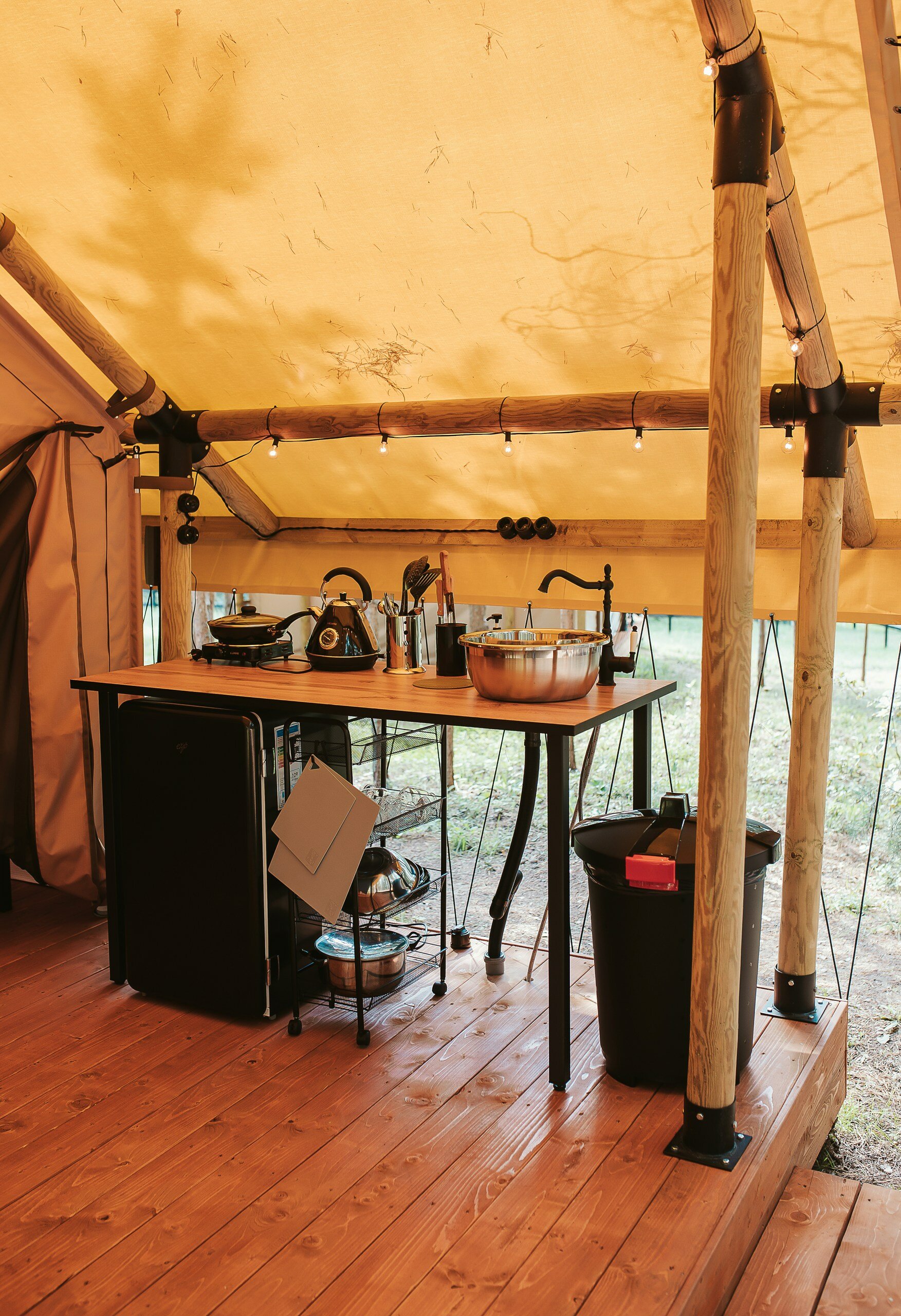 Фото Селигерия