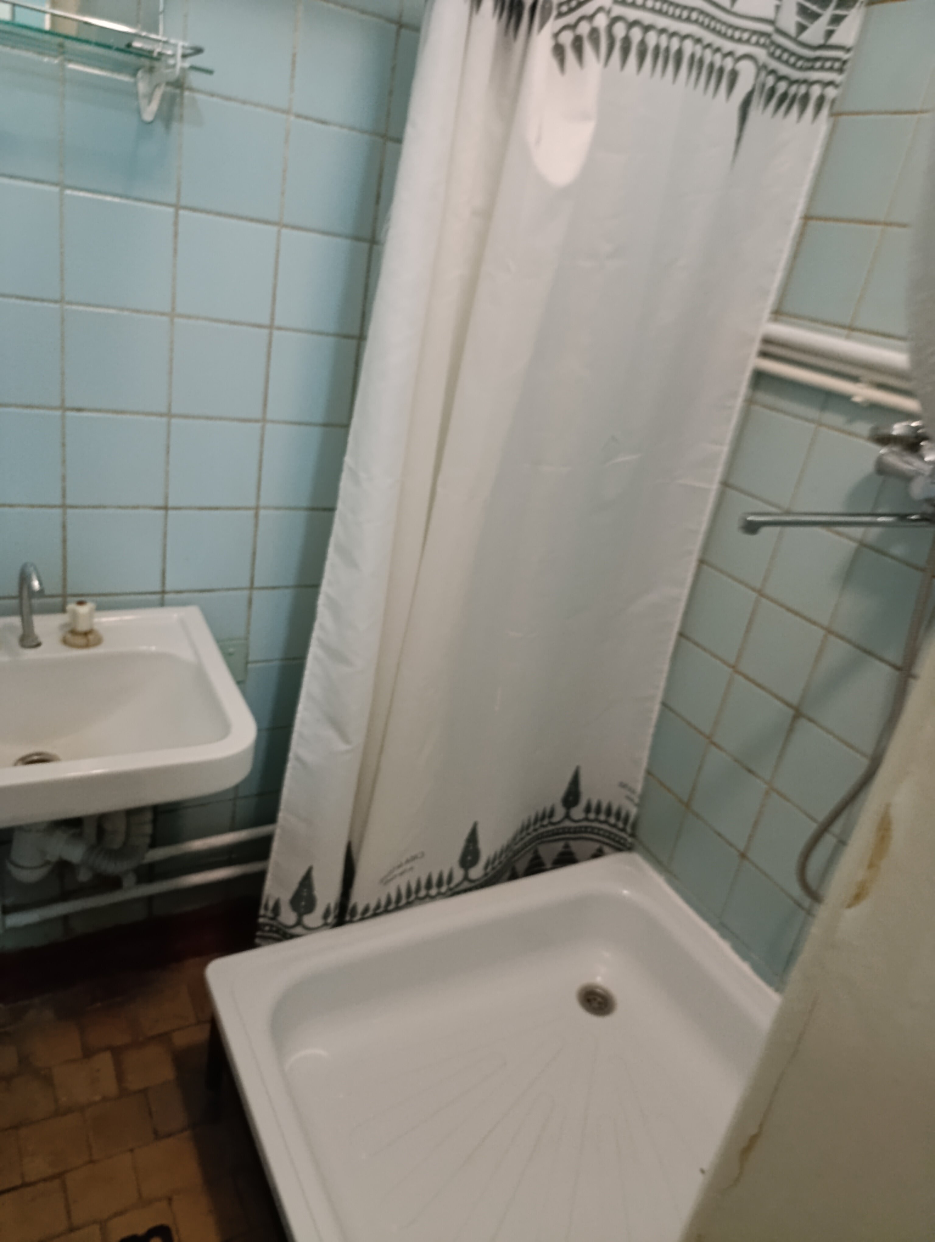 Фото Куделька