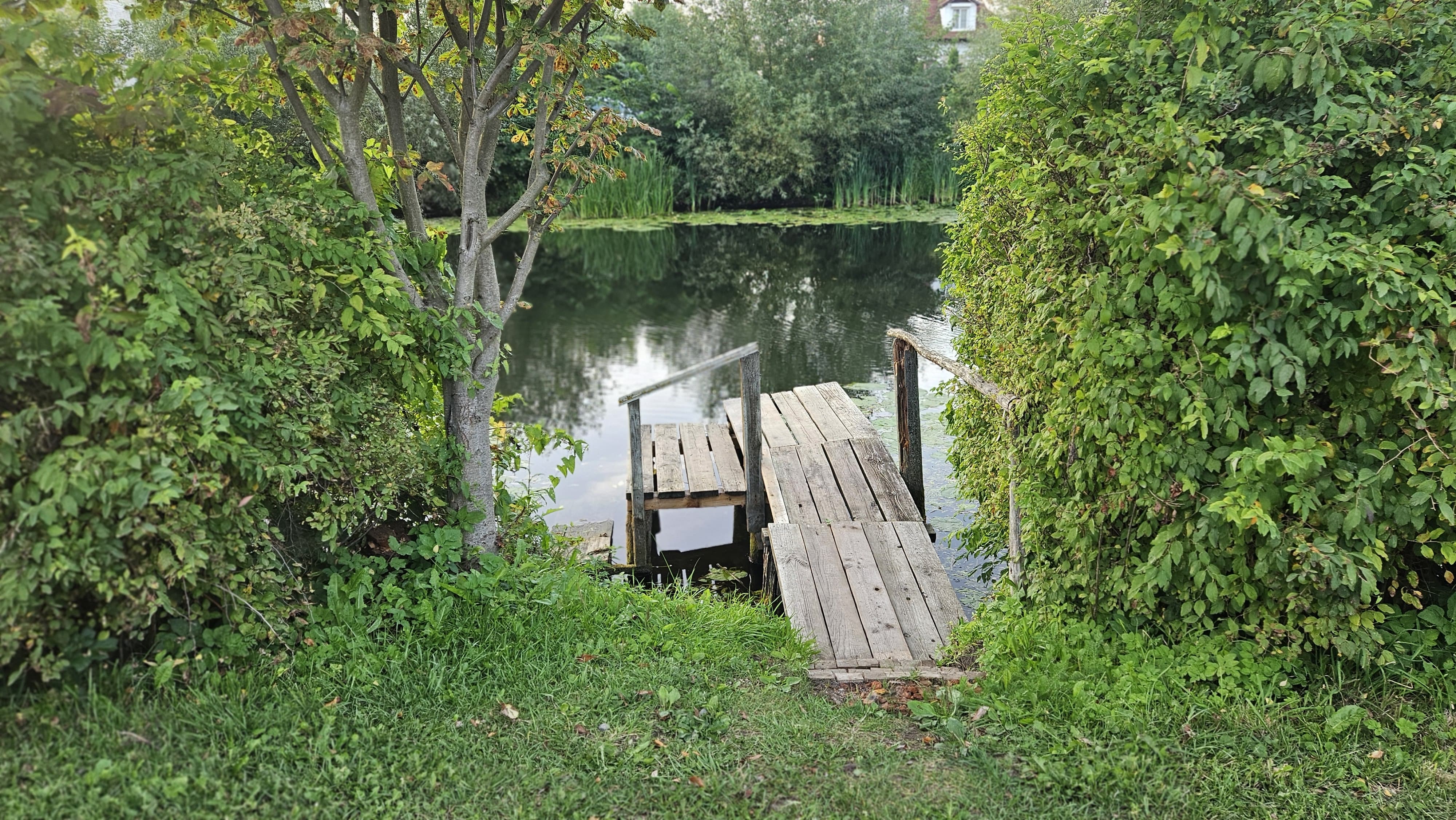 Фото Залесская дача